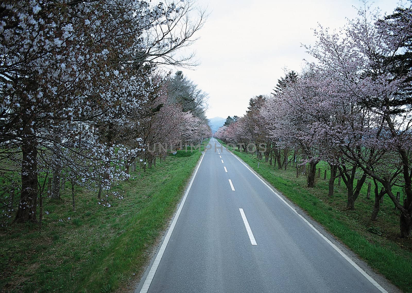 Landscape image - seasons nature