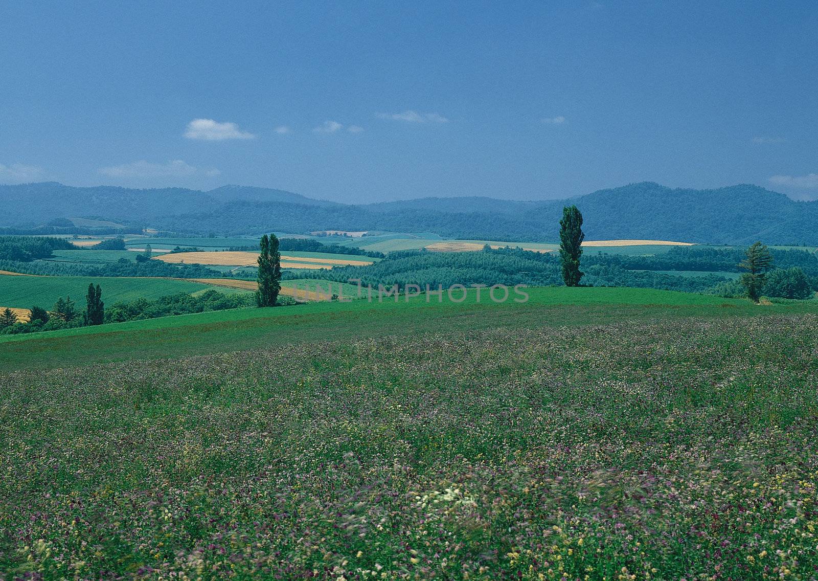 Landscape image - seasons nature