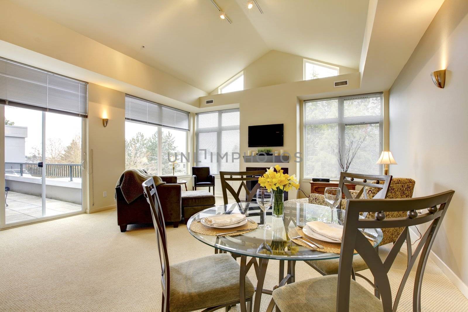 Large bright living and dining room with vaulted ceiling and TV.