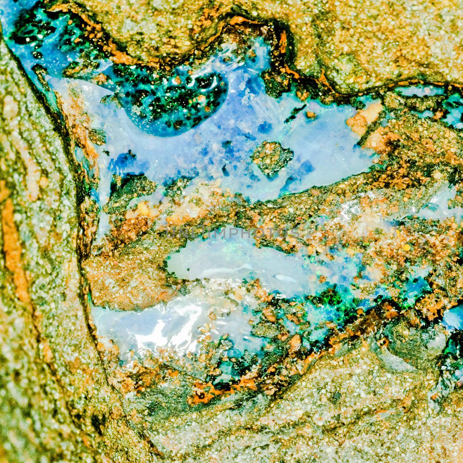 Raw Opal on matrix isolated on black background by PiLens