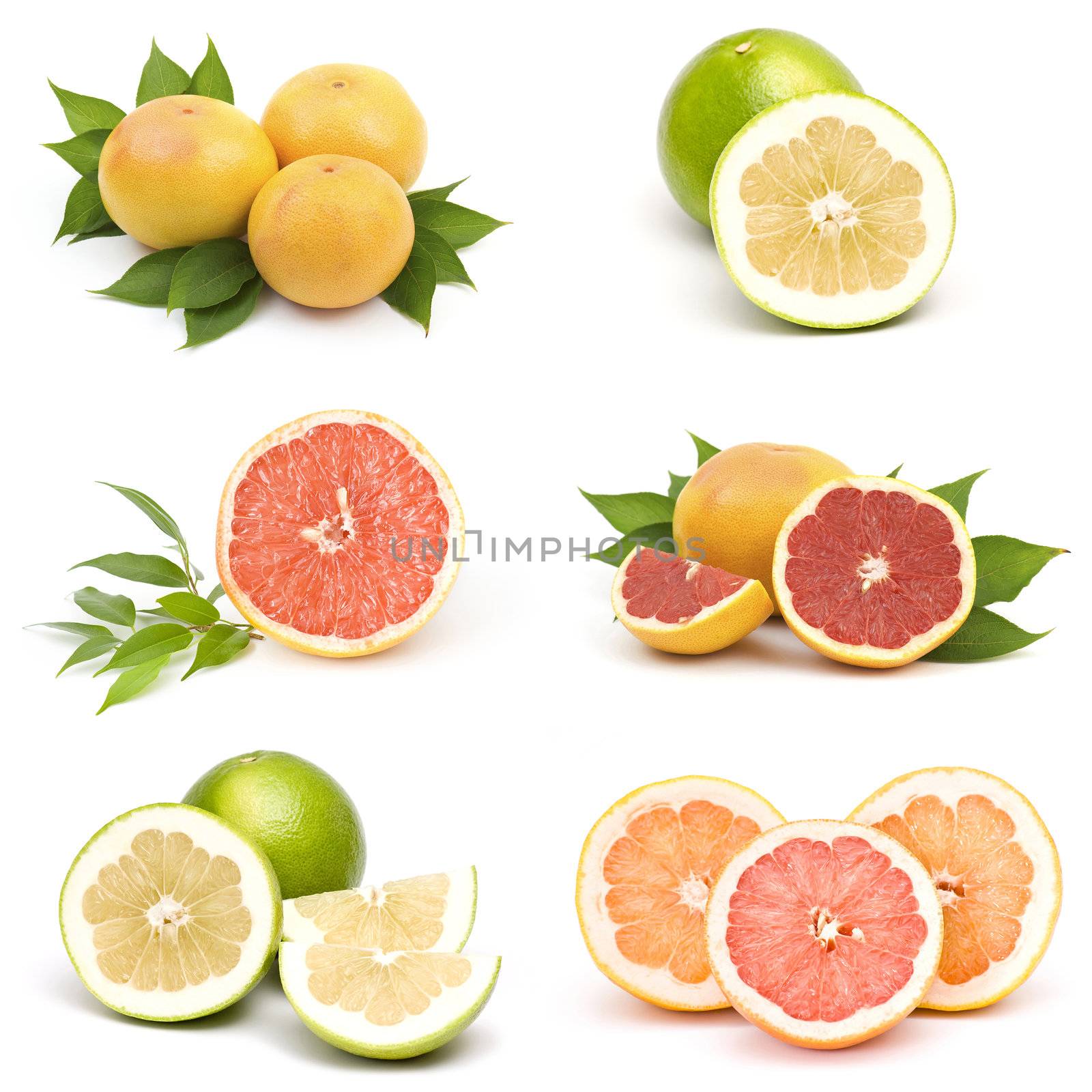 Juicy grapefruit collage by miradrozdowski