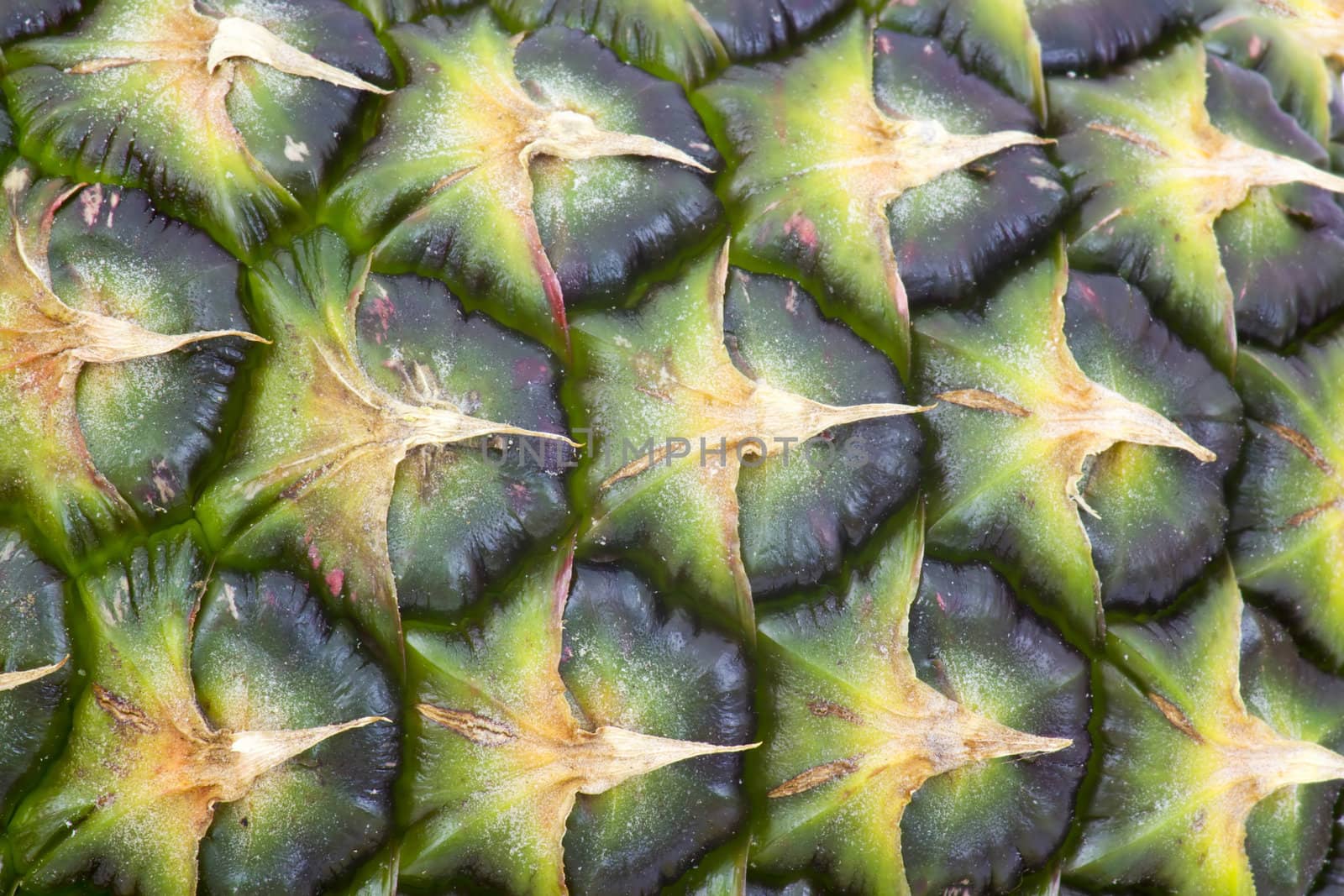 Close up texture of fresh ripe pineapple background 