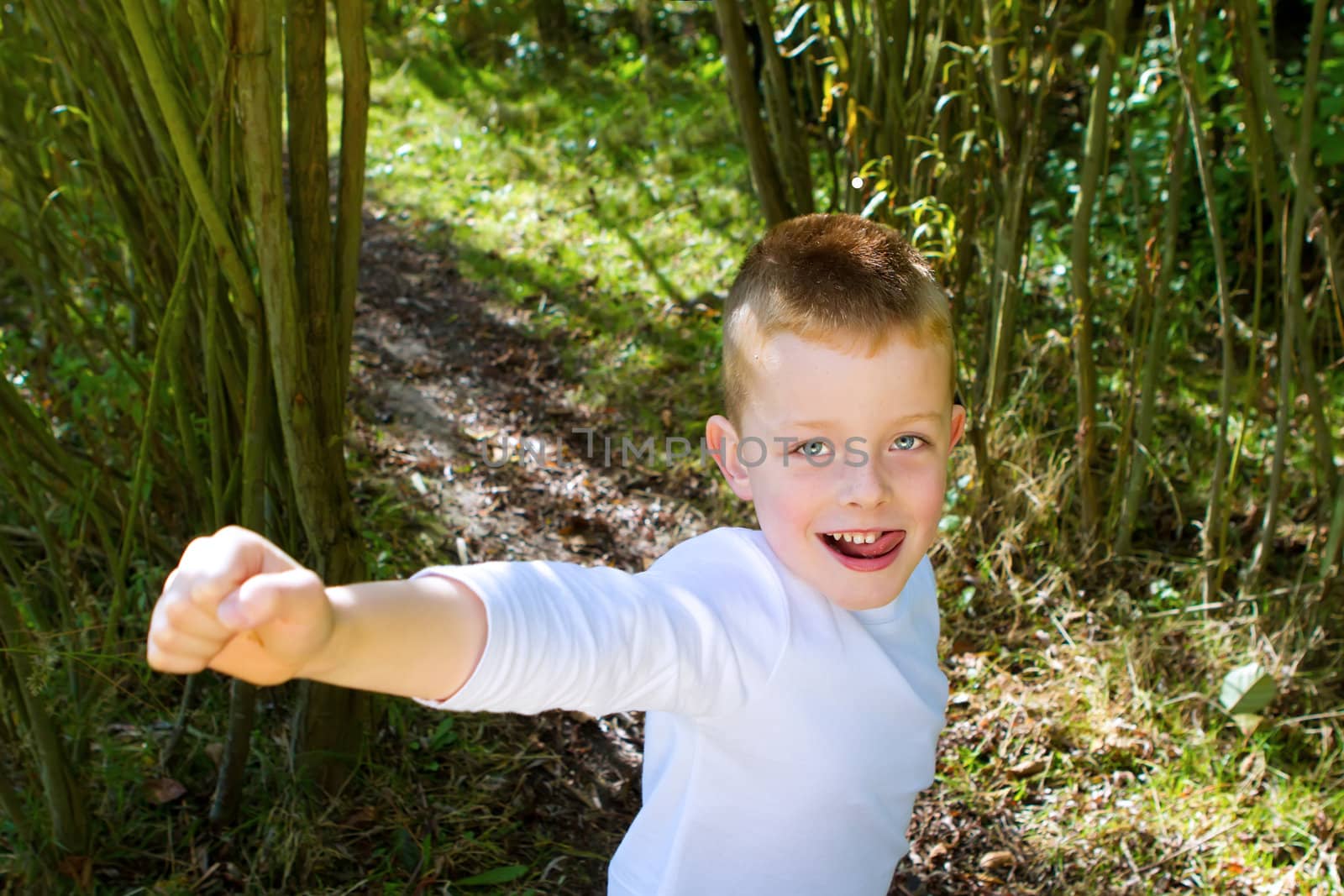 little boy smiling in the woods