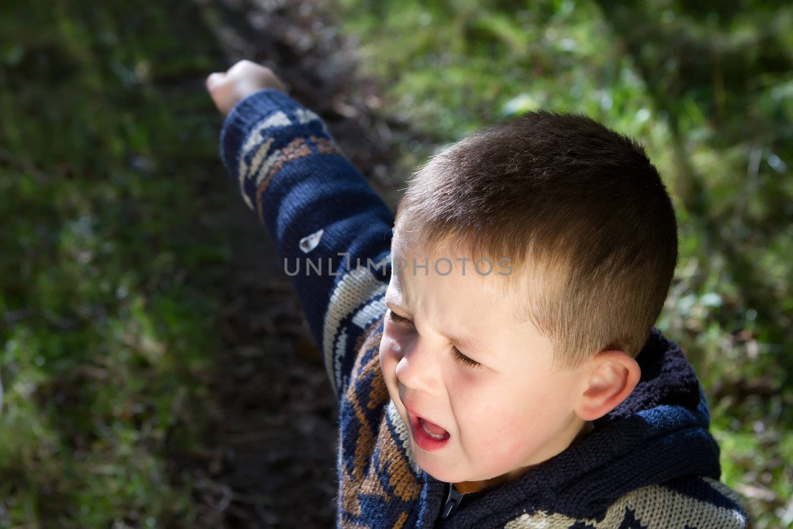 little boy crying out in the woods