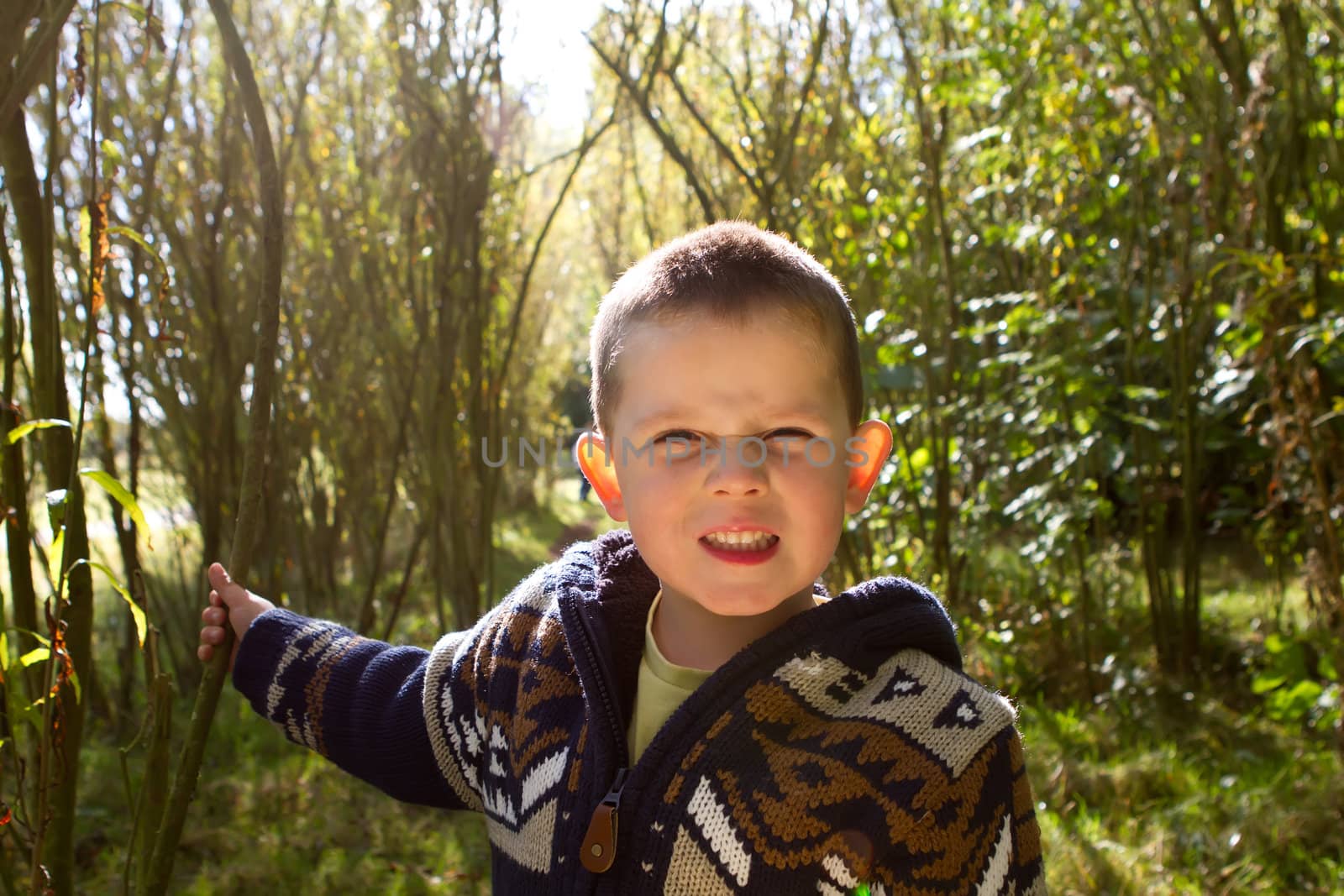 little boy smiling in the woods