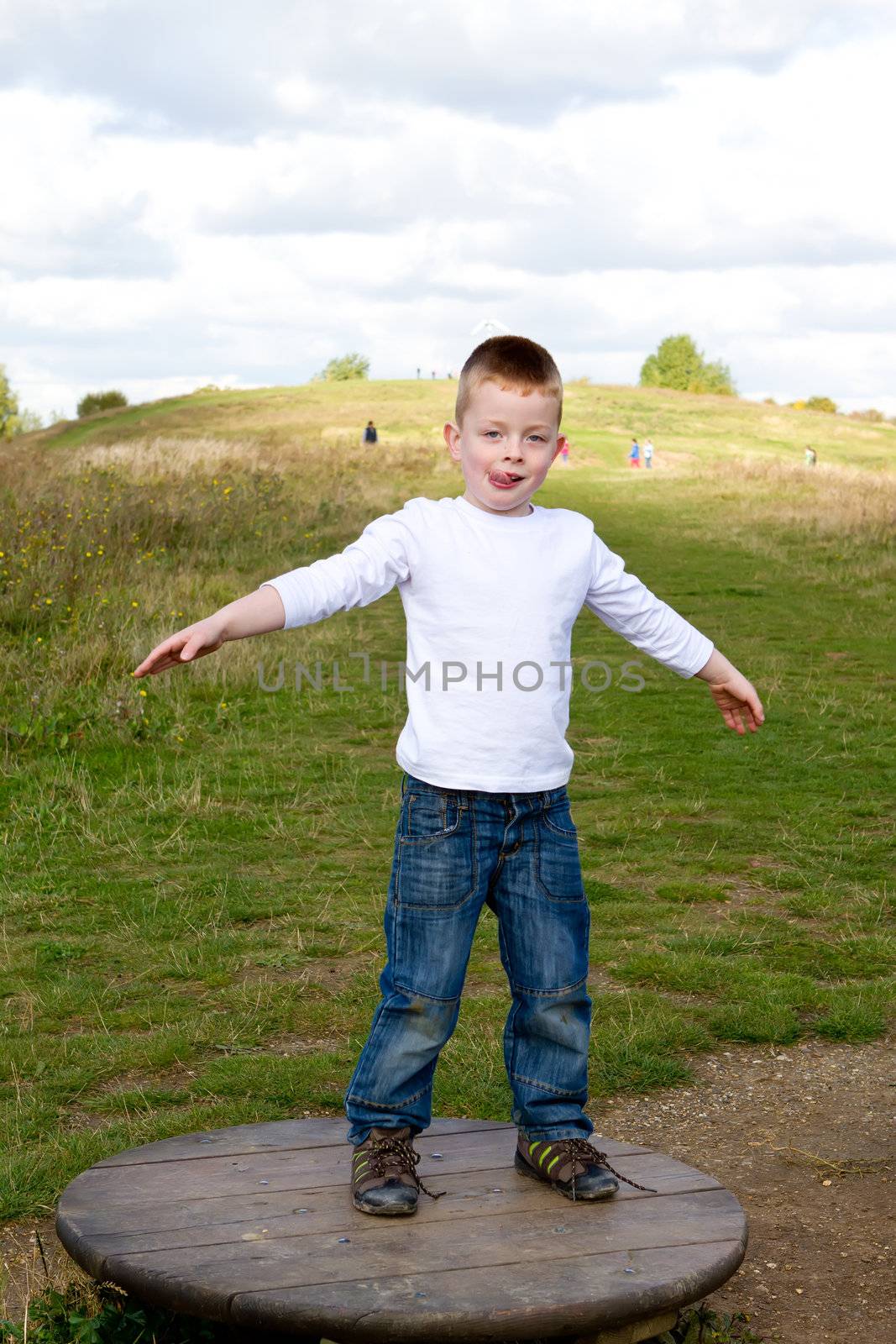 little boy playing at the park