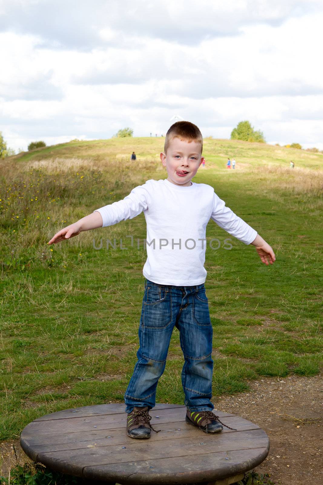 little boy playing at the park