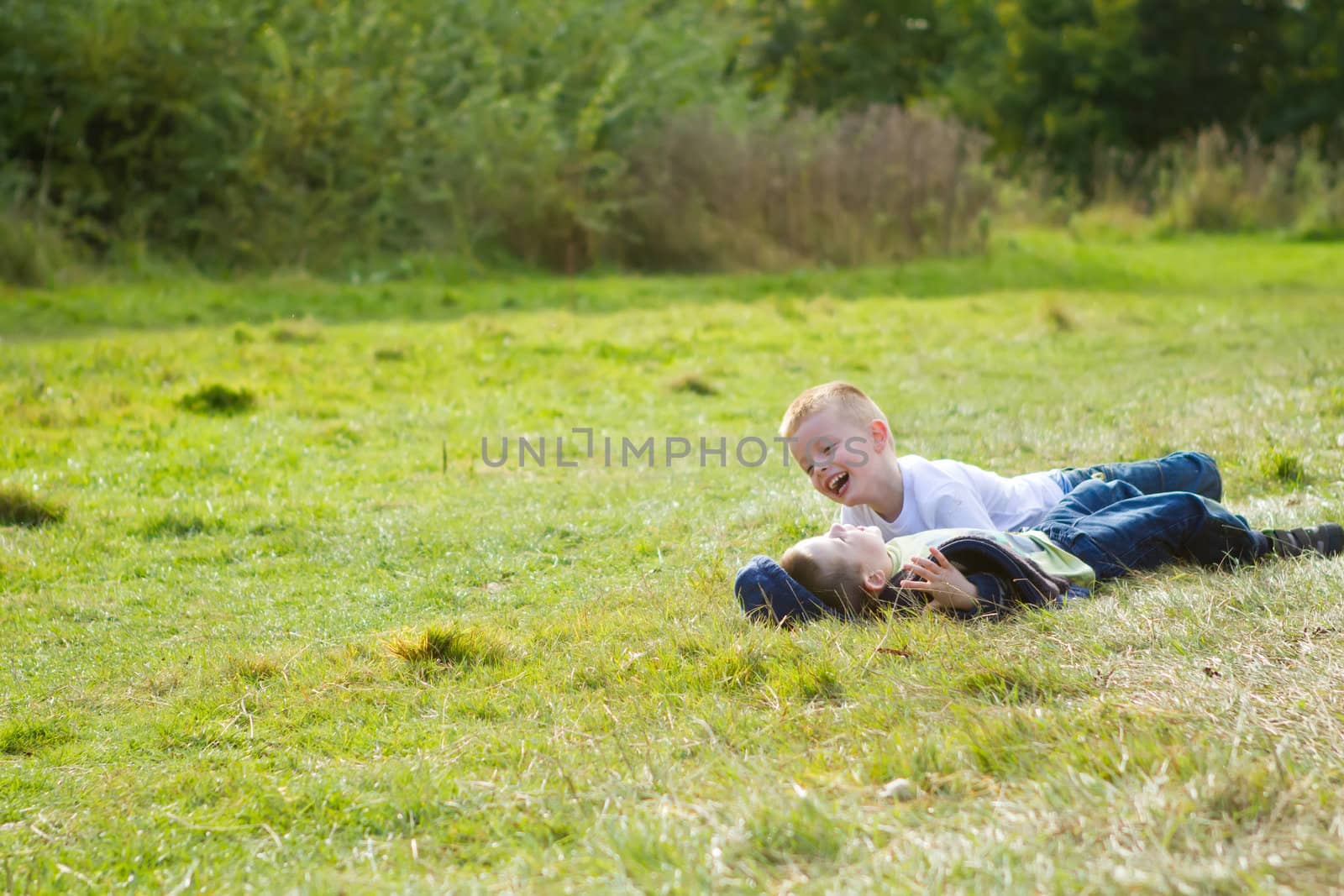 brothers playing in the summer meadow