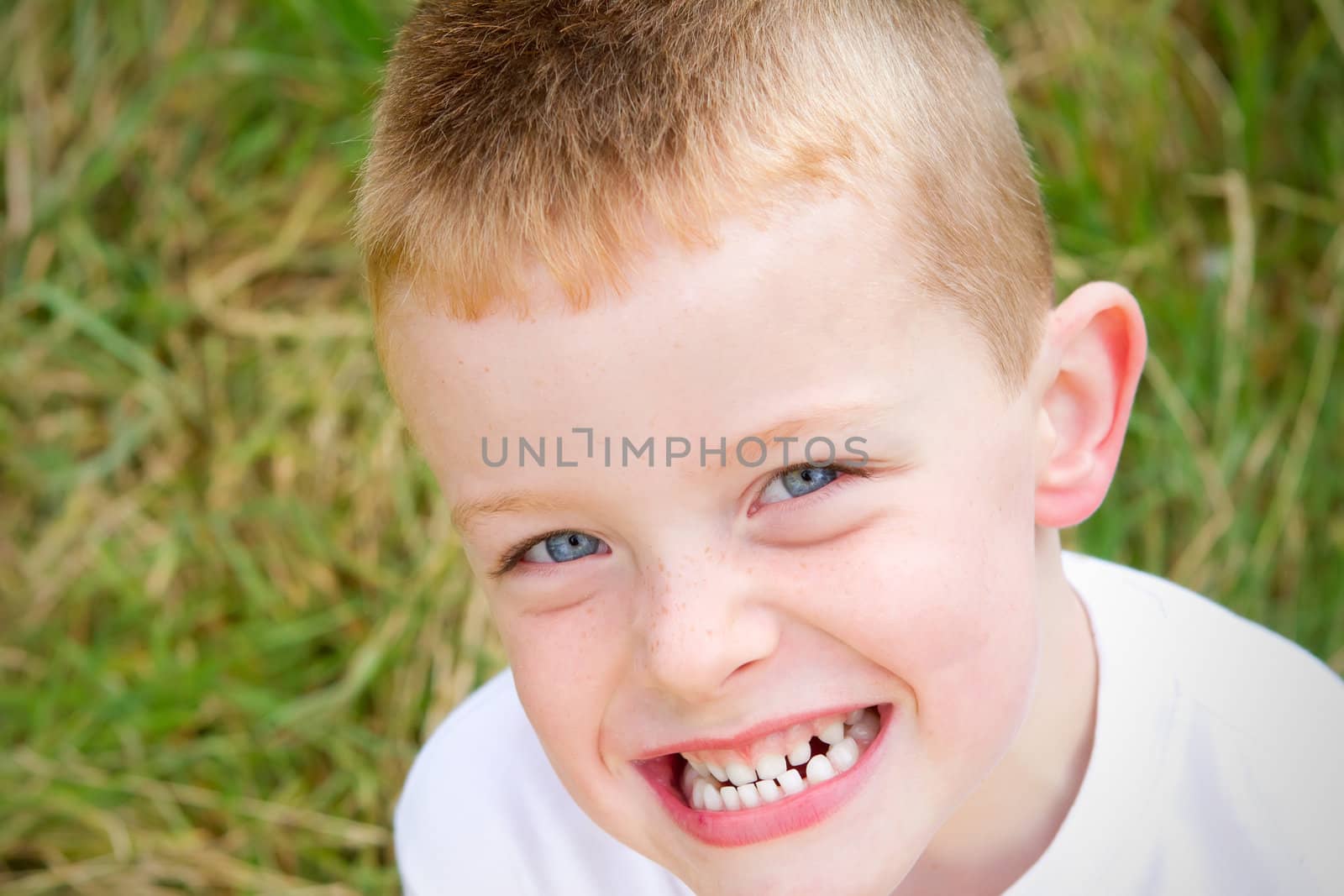 little boy smiling in the evening Autumn sun