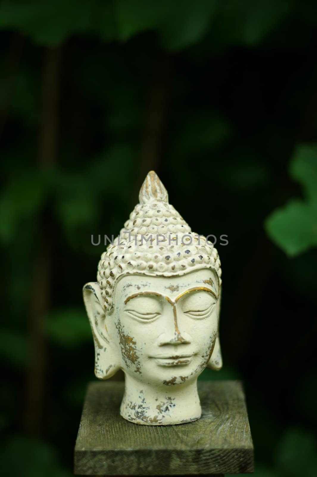 buddha sculpture by mjenewein