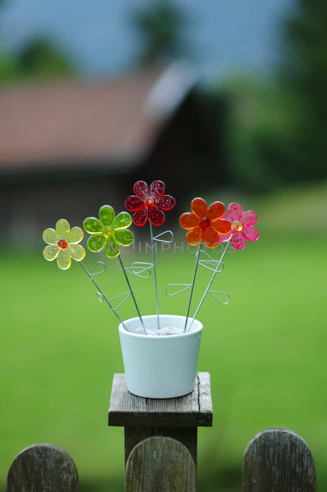plastic flower pot on a fence