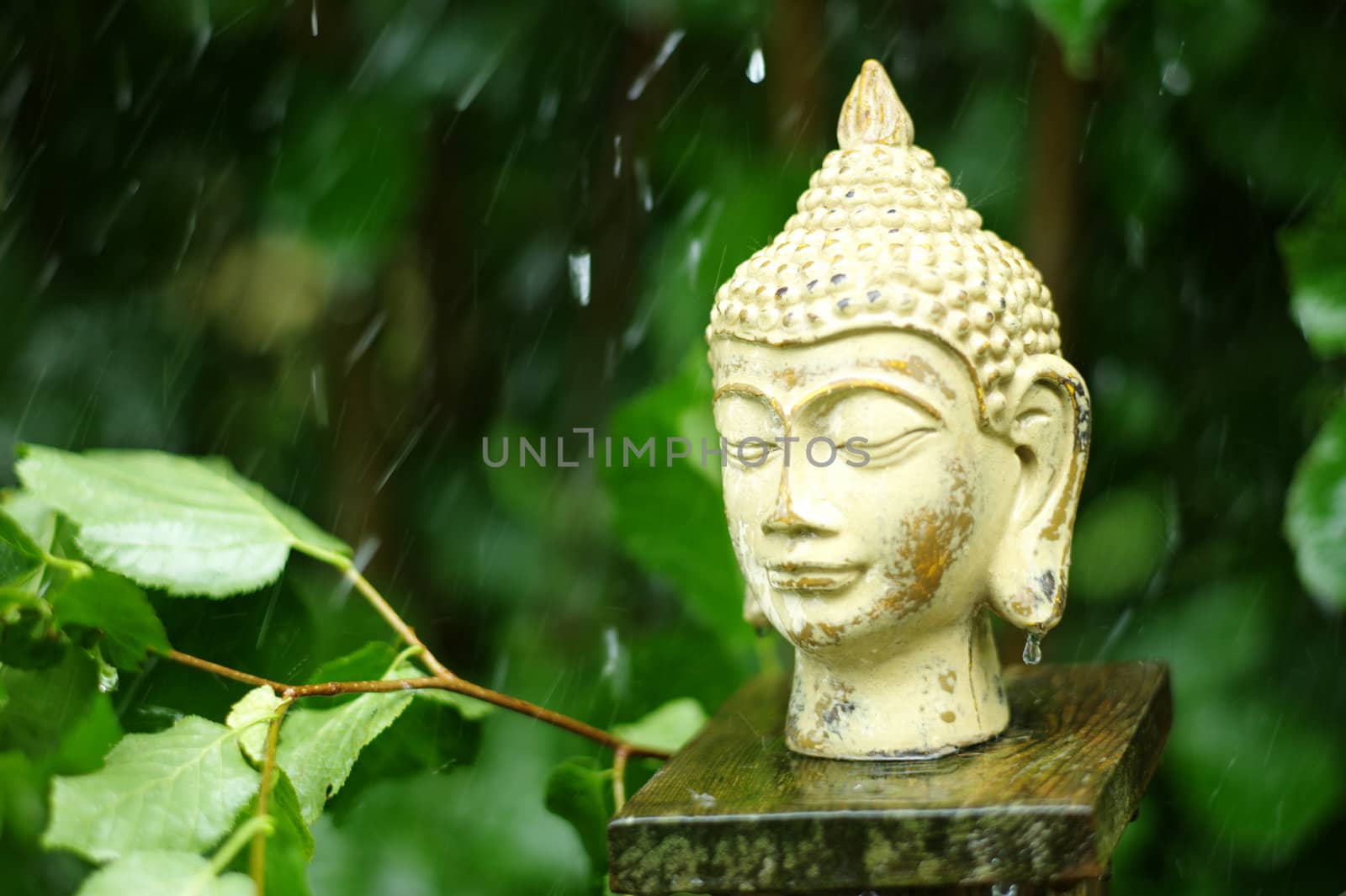 wet buddha sculpture with raindrops in background