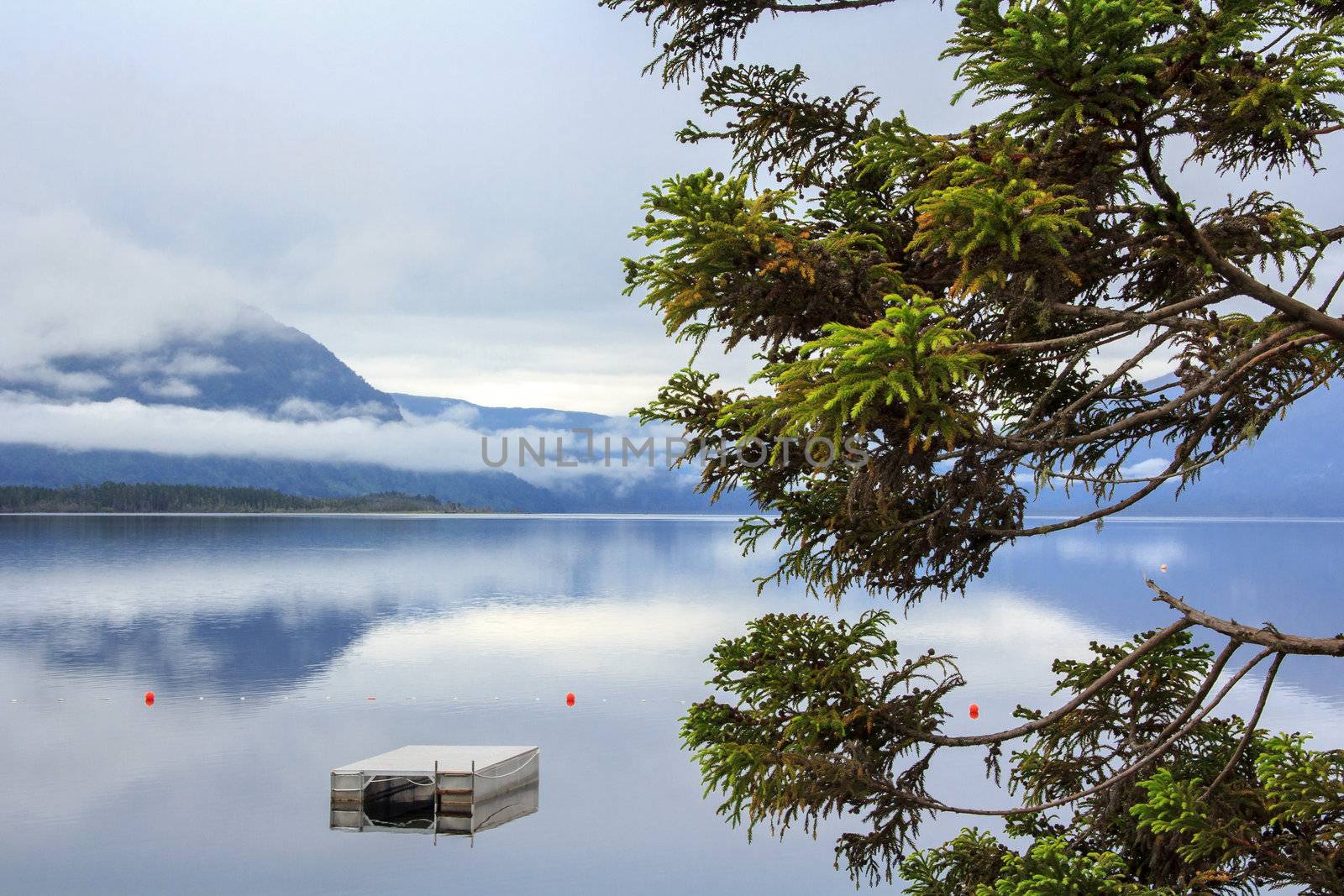 mountain blue lake lanscape with the morning mist at the background and a pine at the foreground