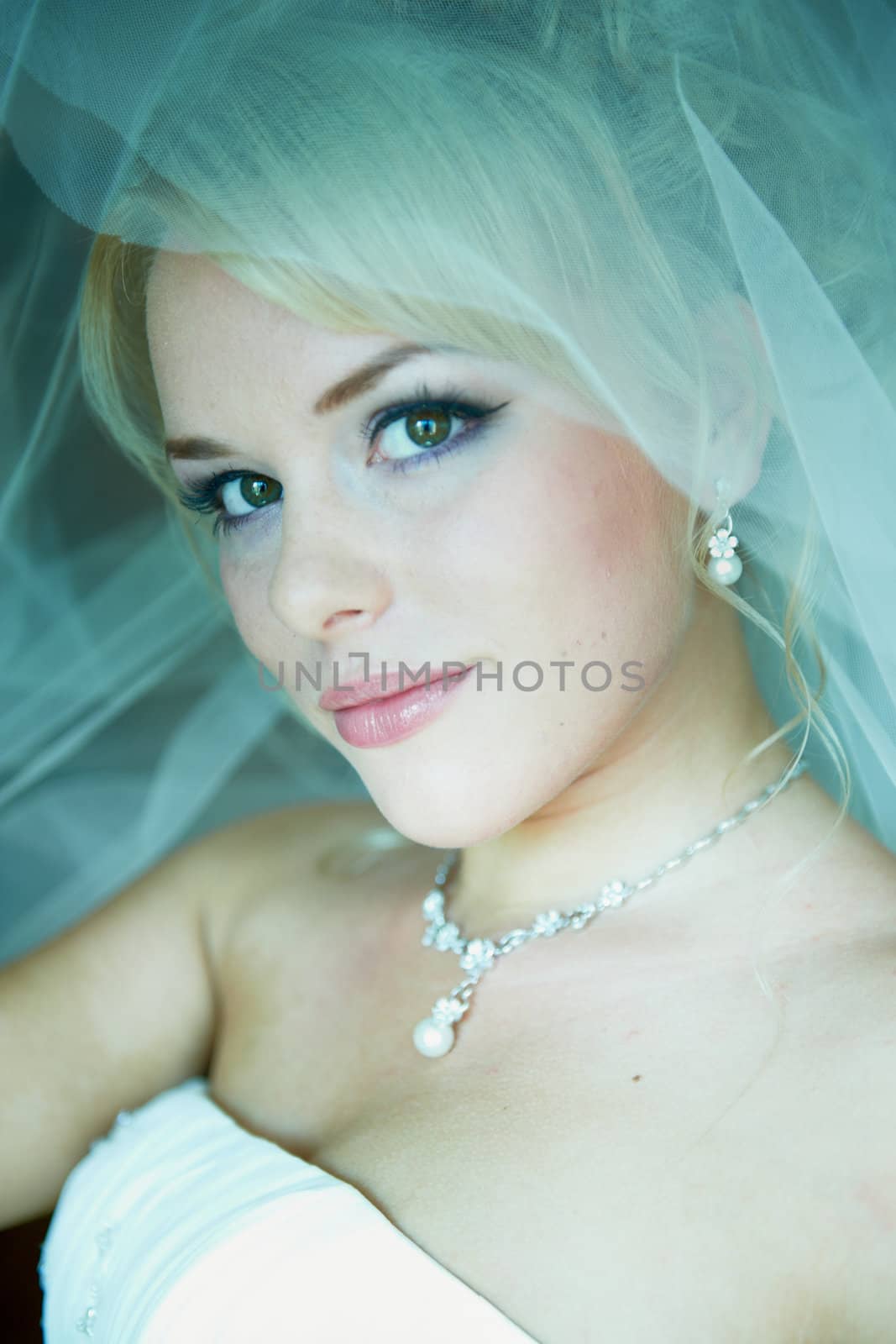 Portrait of a beautiful bride