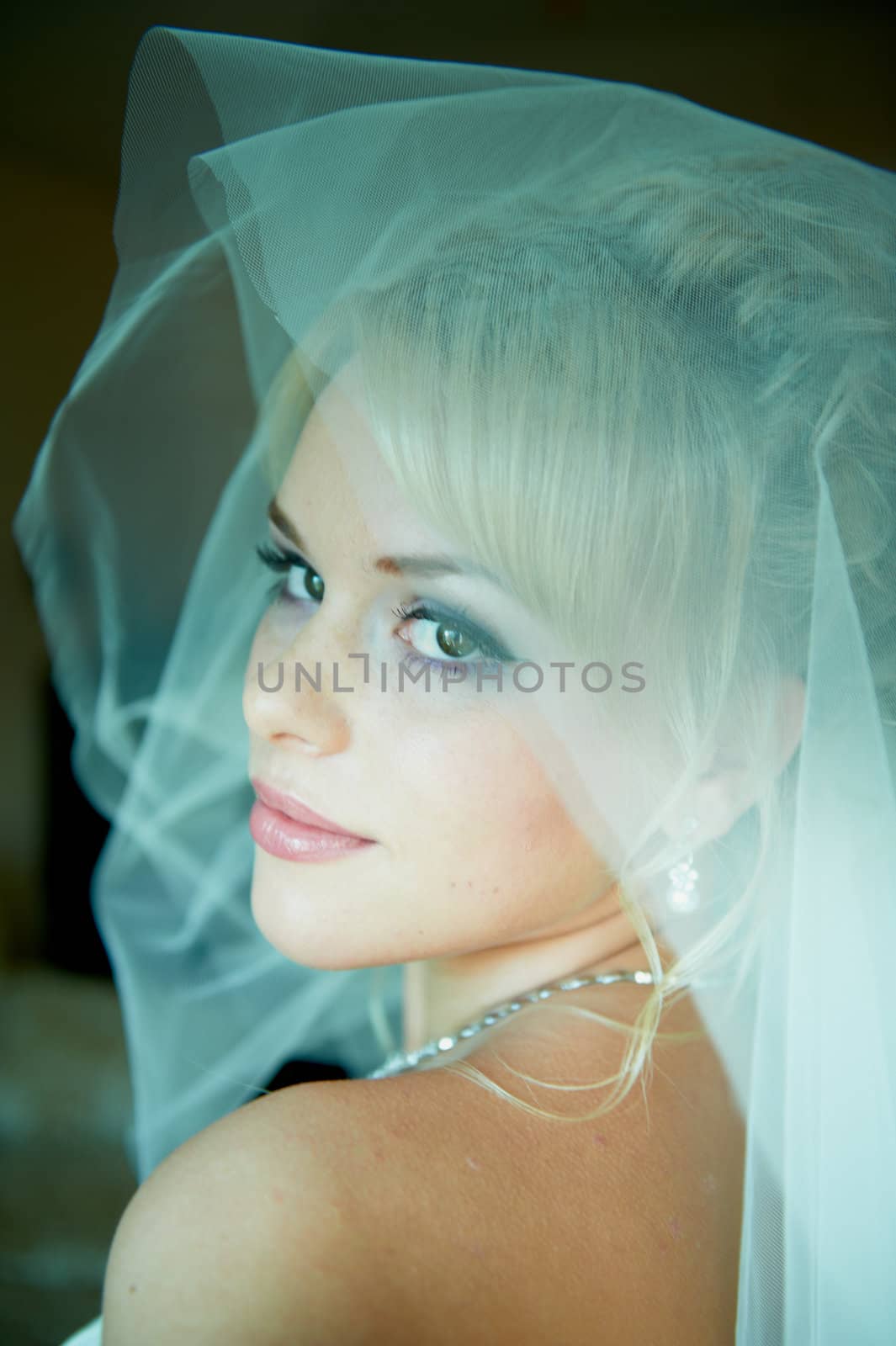 Portrait of a beautiful bride