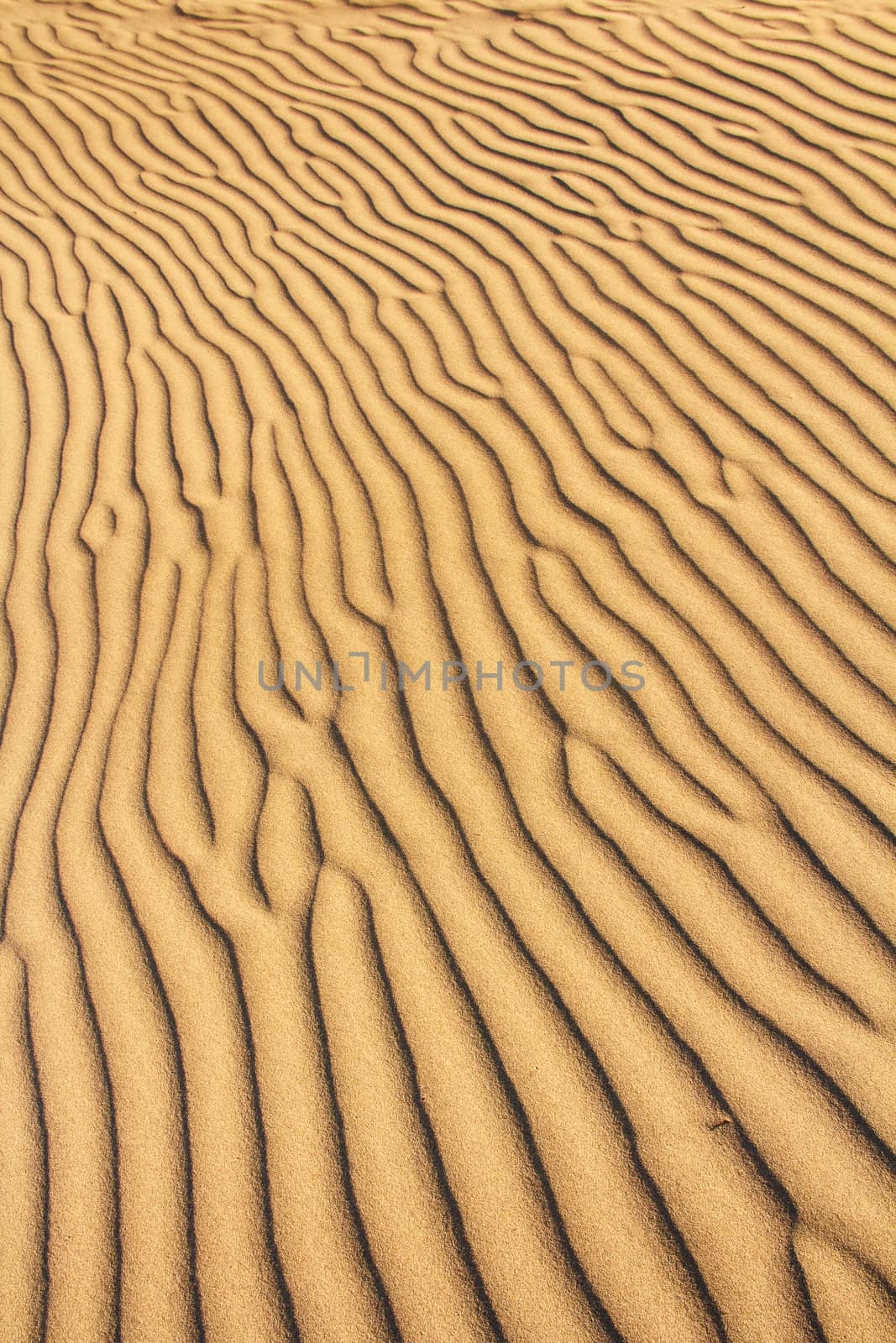 golden sand dunes with an irregular texture