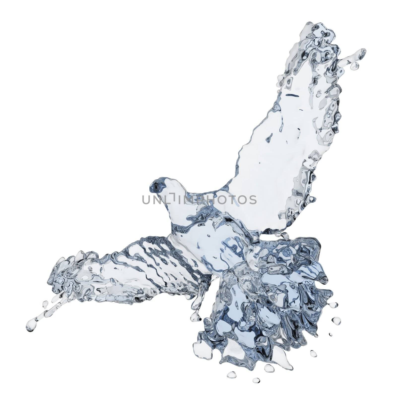 Pigeon of water made in 3D graphics