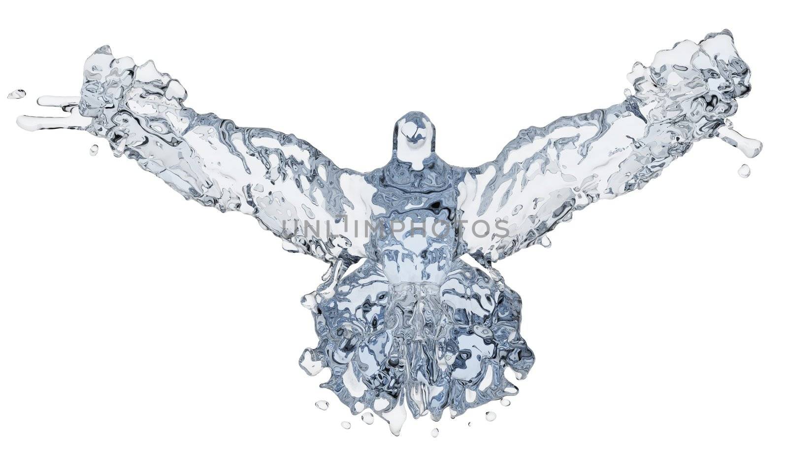 Pigeon of water made in 3D graphics