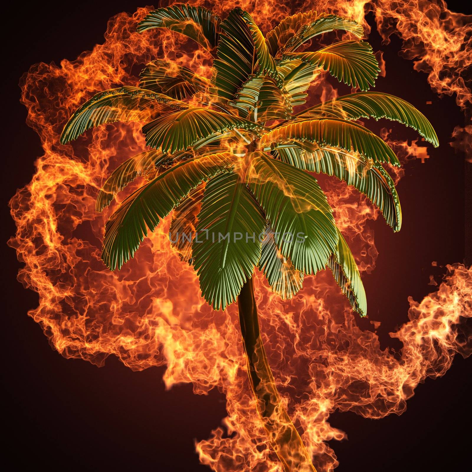 Palm in fire made in 3D