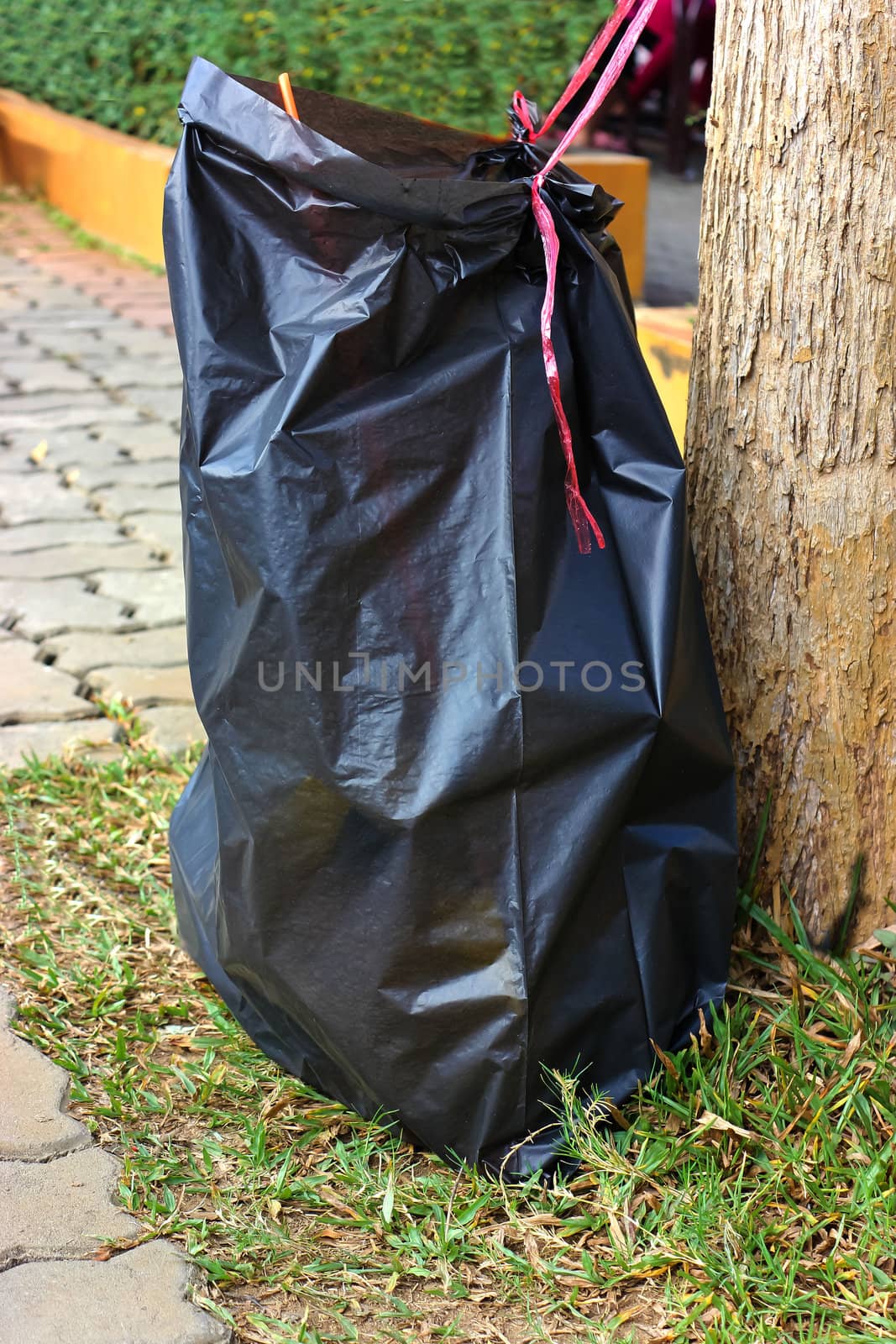 garbage bins with black garbage bags by sutipp11