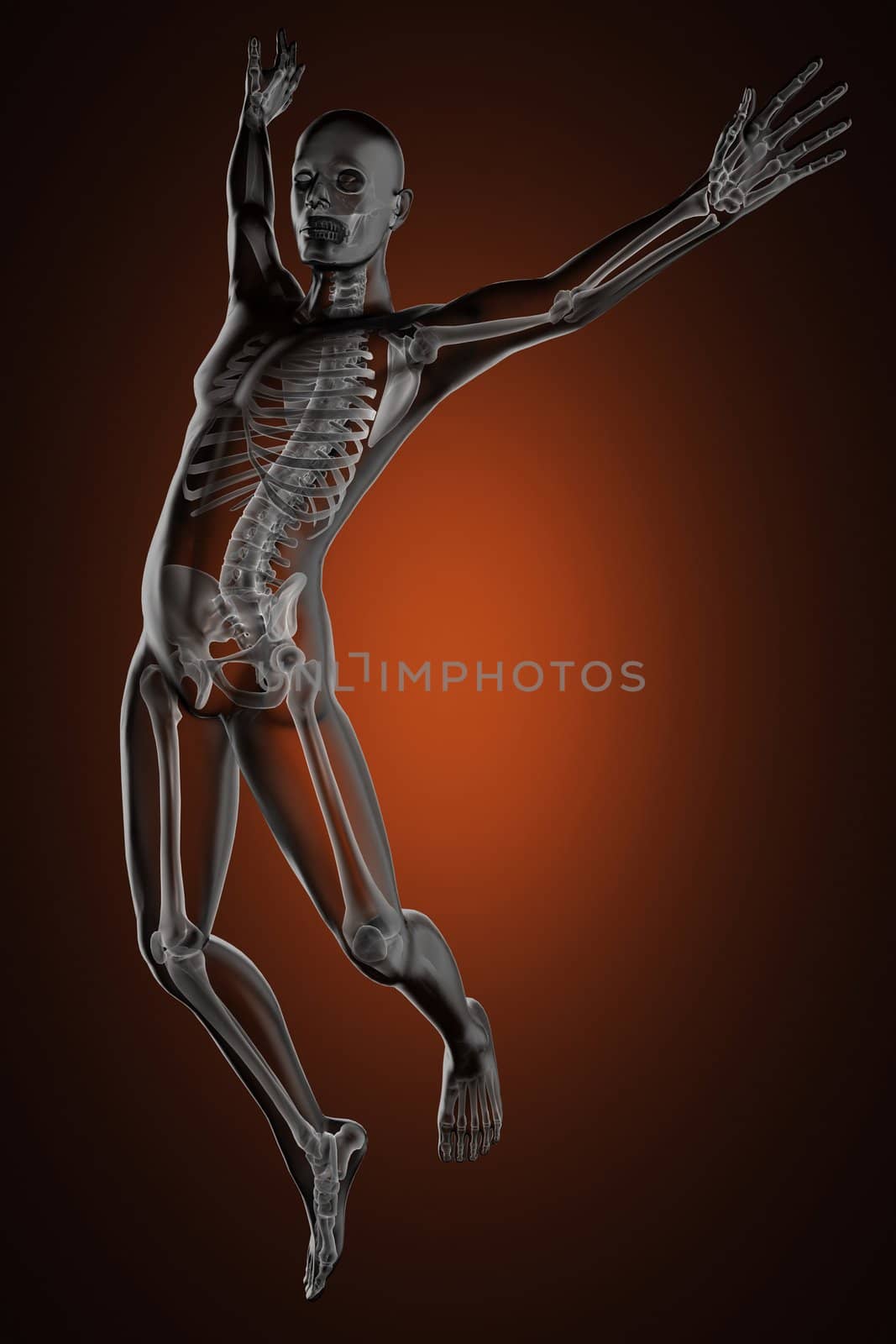 jump man radiography by videodoctor