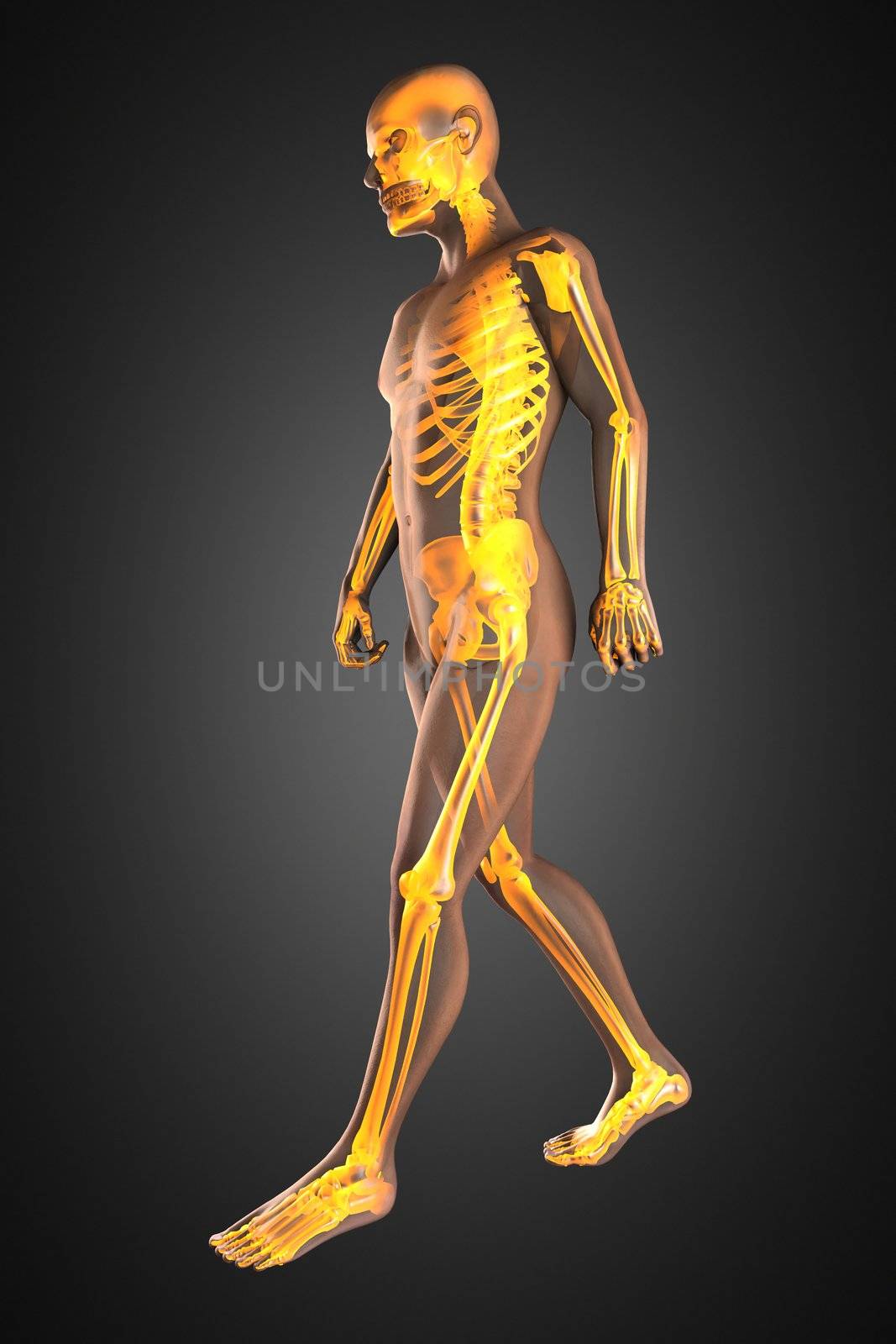 walking man radiography made in 3D