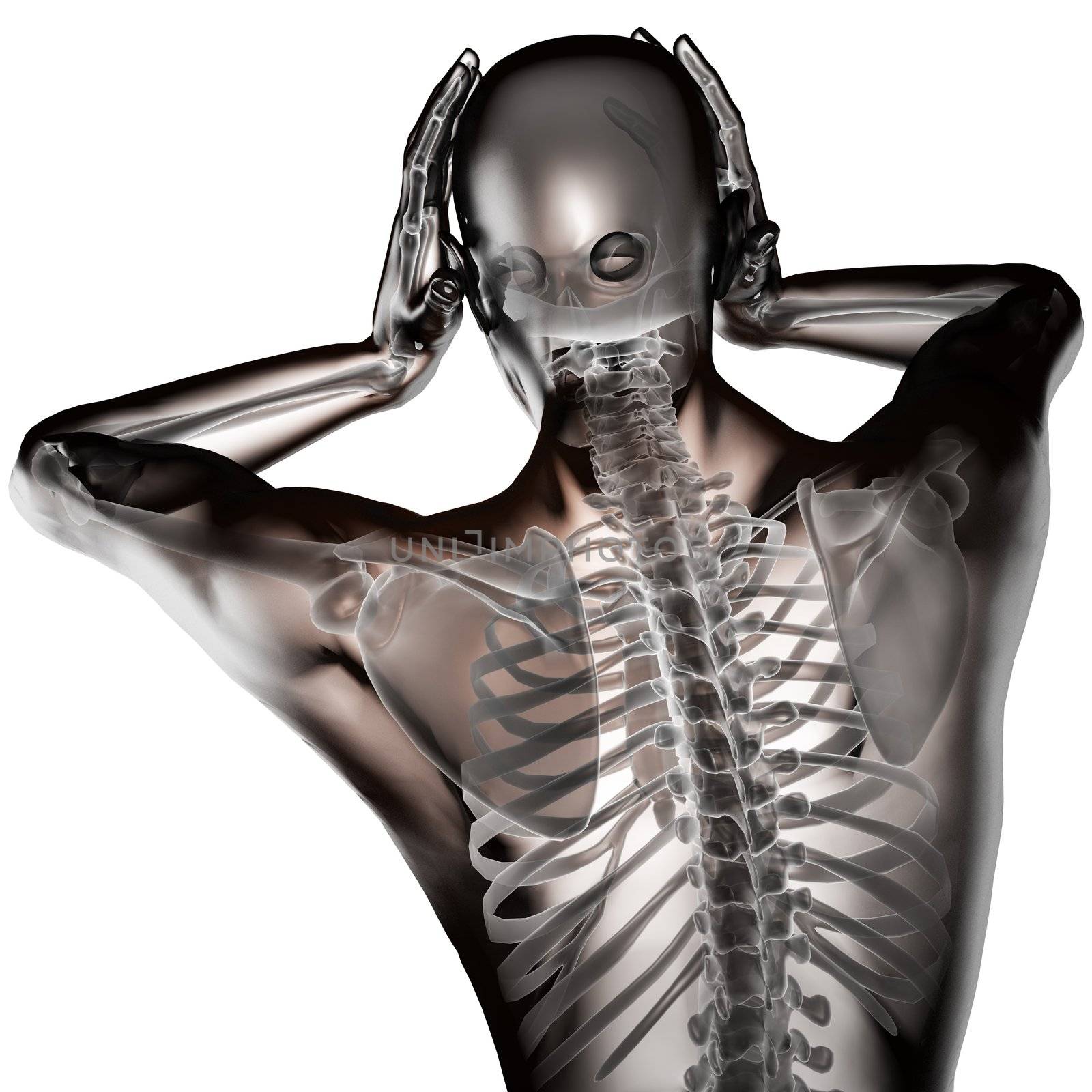 human radiography scan made in 3D