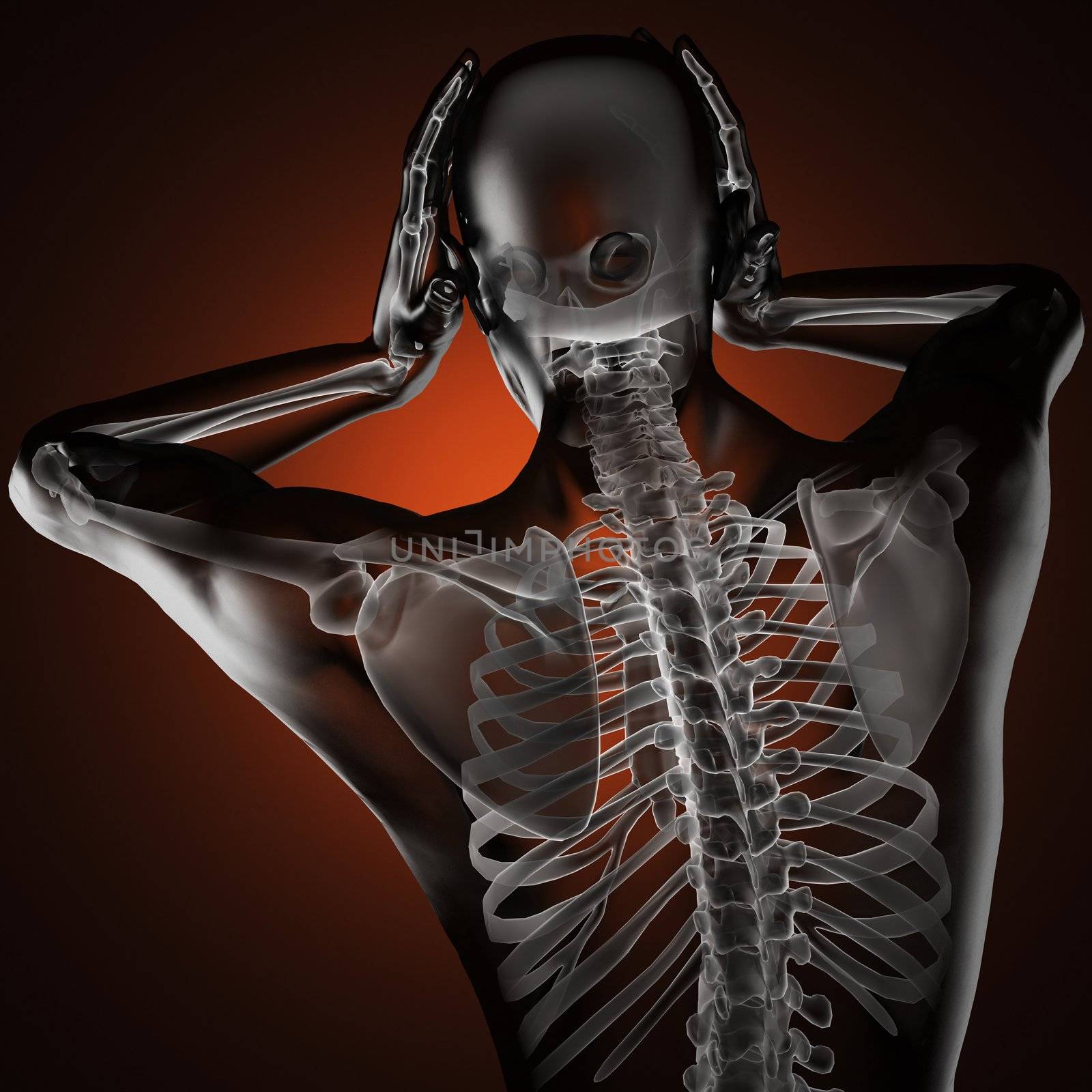 human radiography scan made in 3D