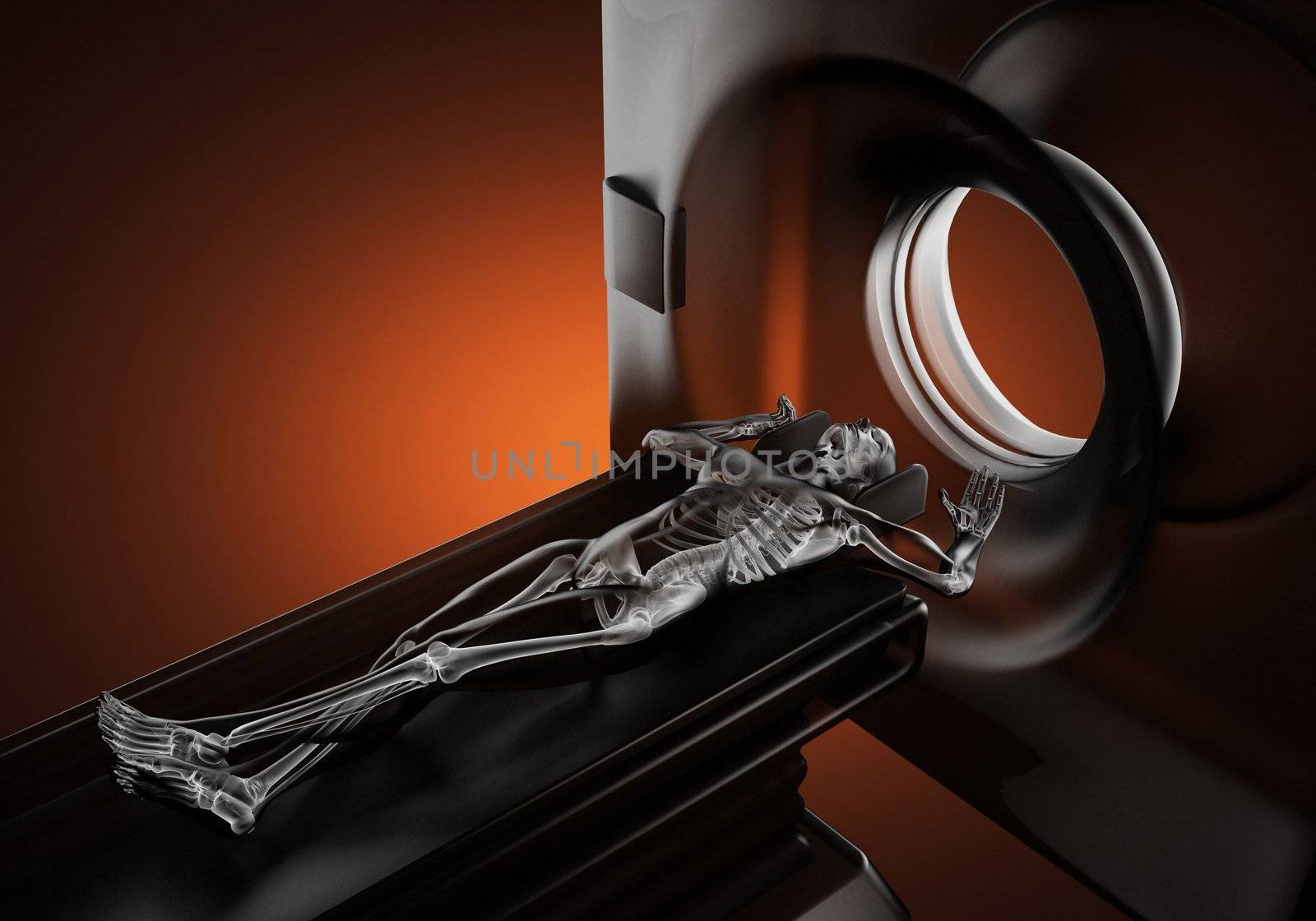 MRI examination made in 3D graphics