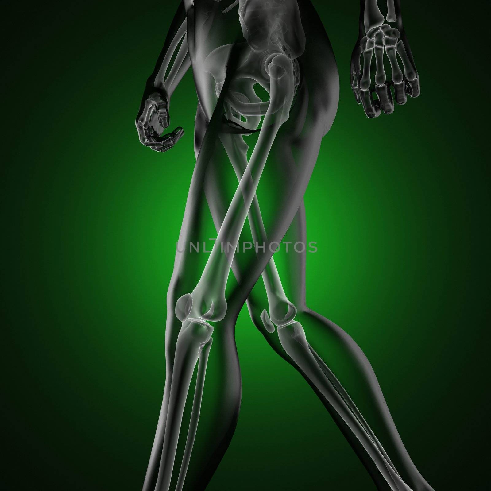 human radiography scan made in 3D