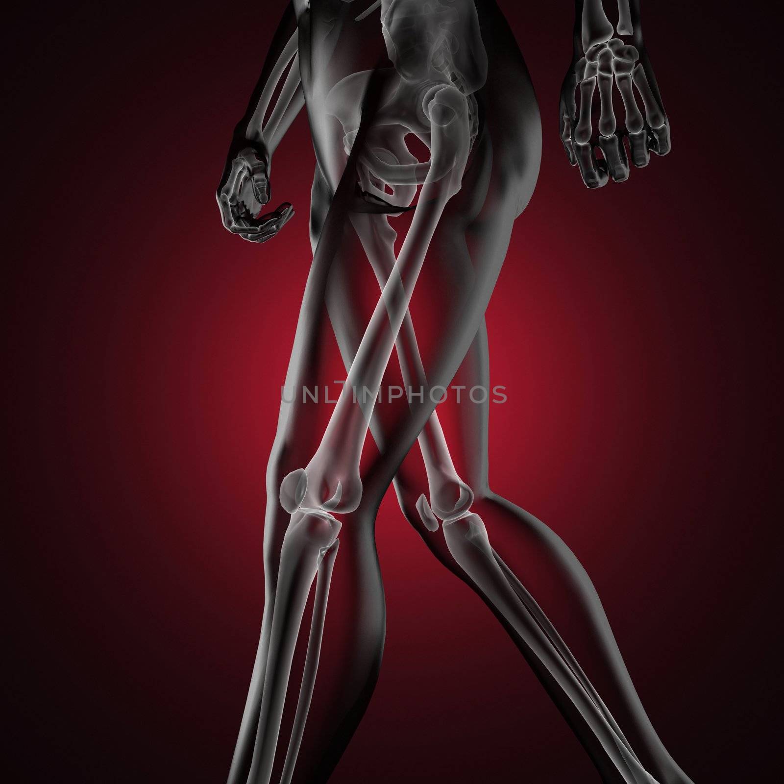 human radiography scan made in 3D