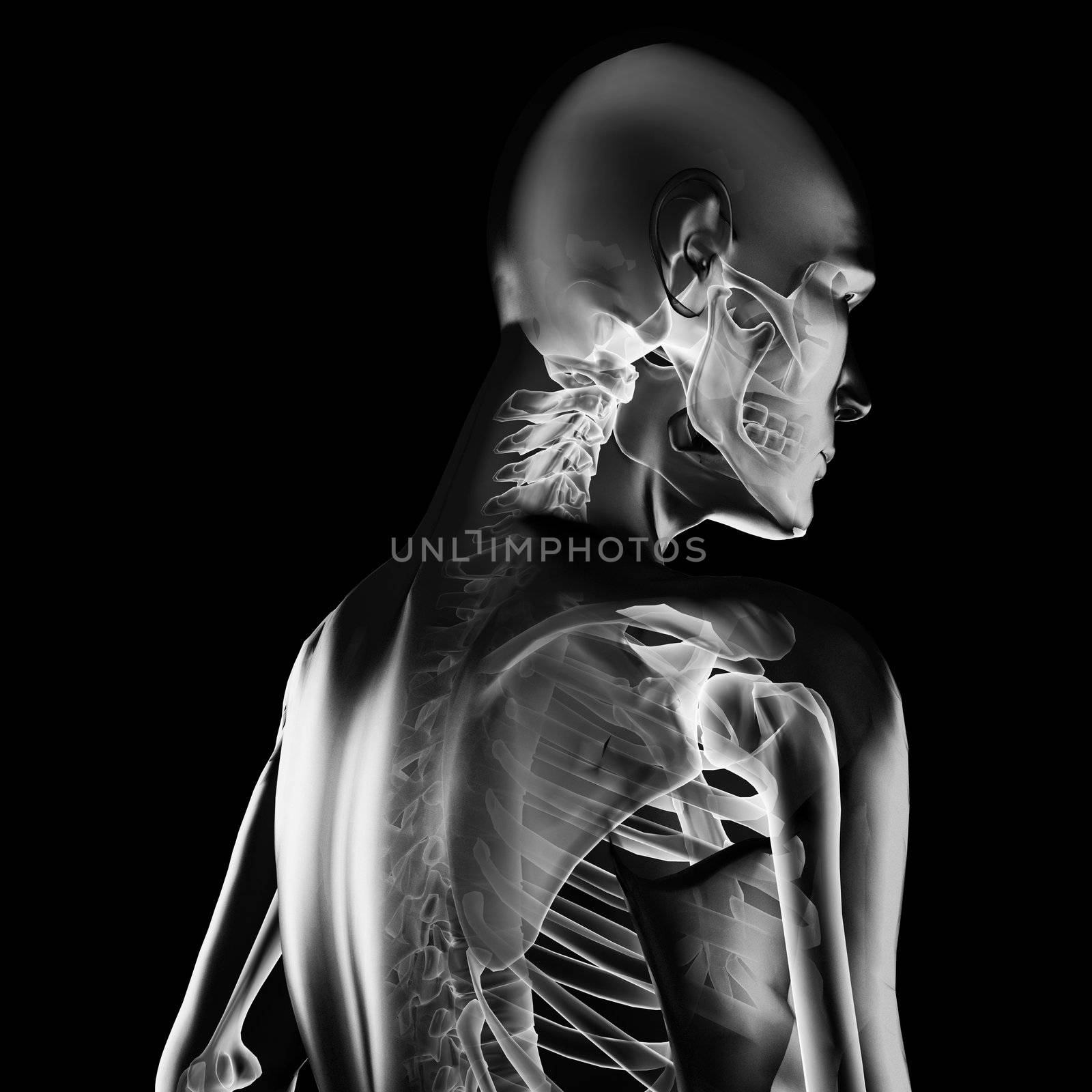 human radiography scan made in 3D