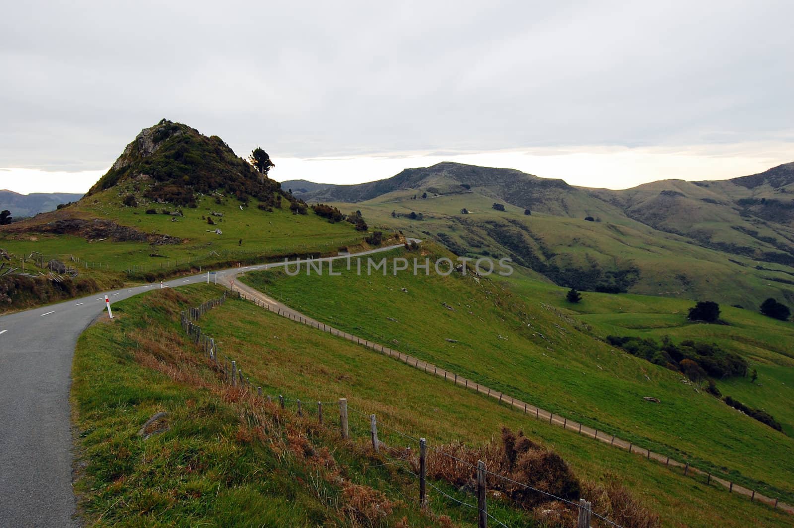 Mountain road rural area New Zealand by danemo