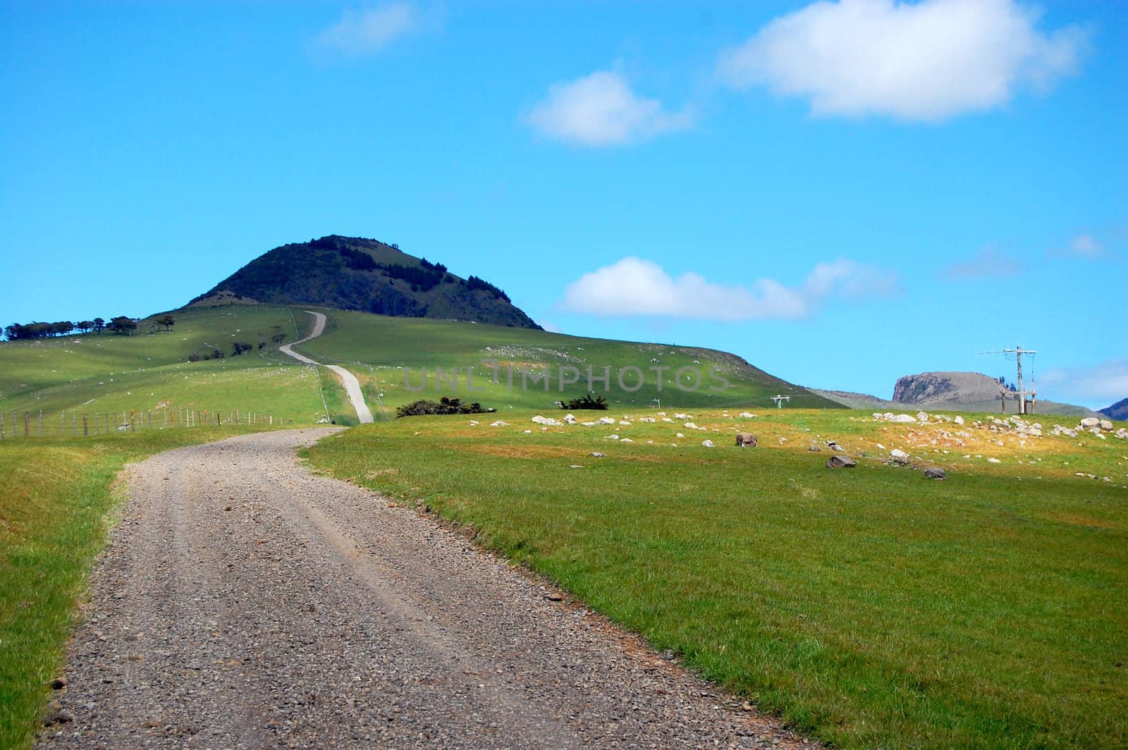 Gravel road rural area New Zealand by danemo