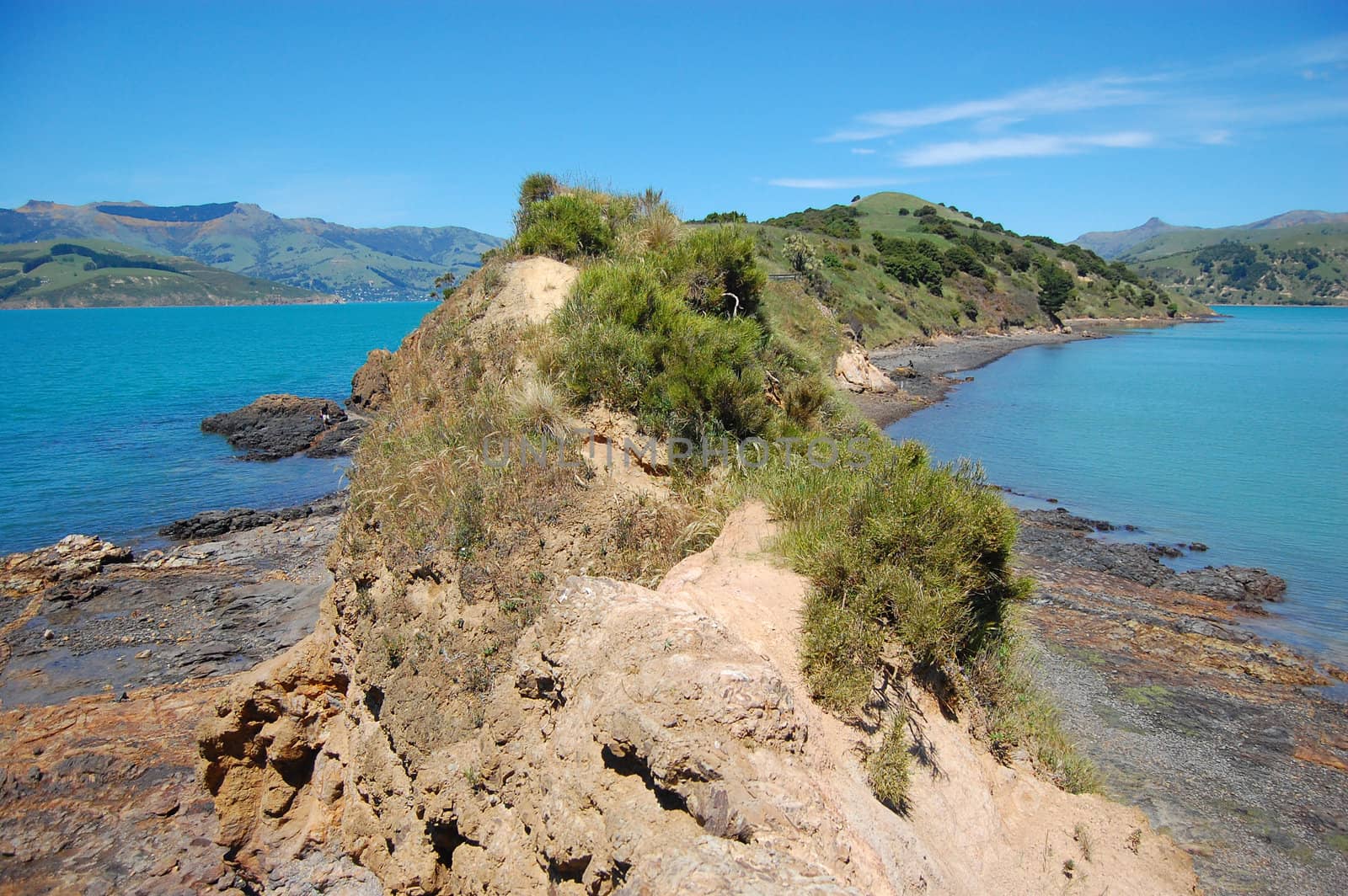 Rocky peninsula New Zealand by danemo