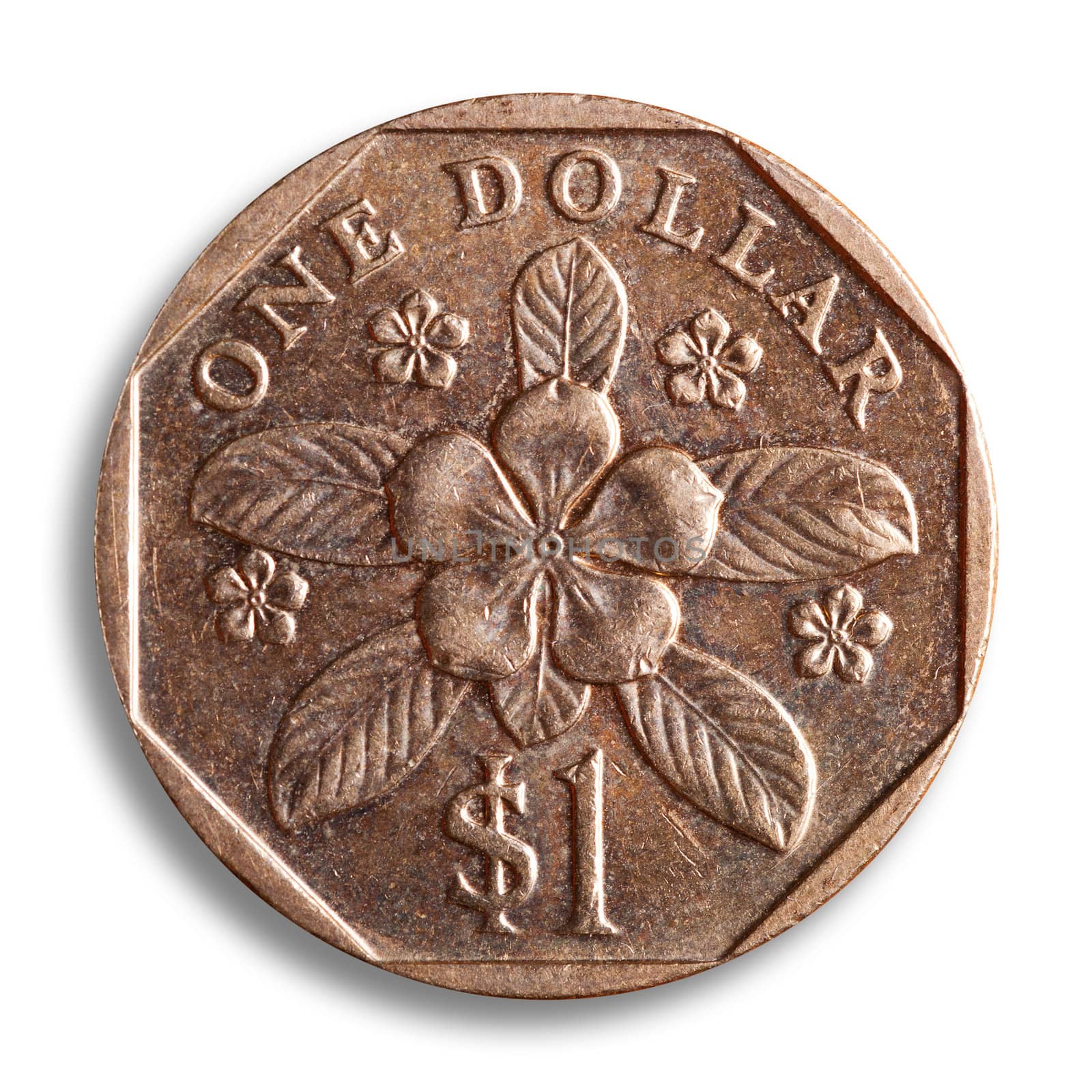 Singapore dollar coin, white backgroudn, clipping path.