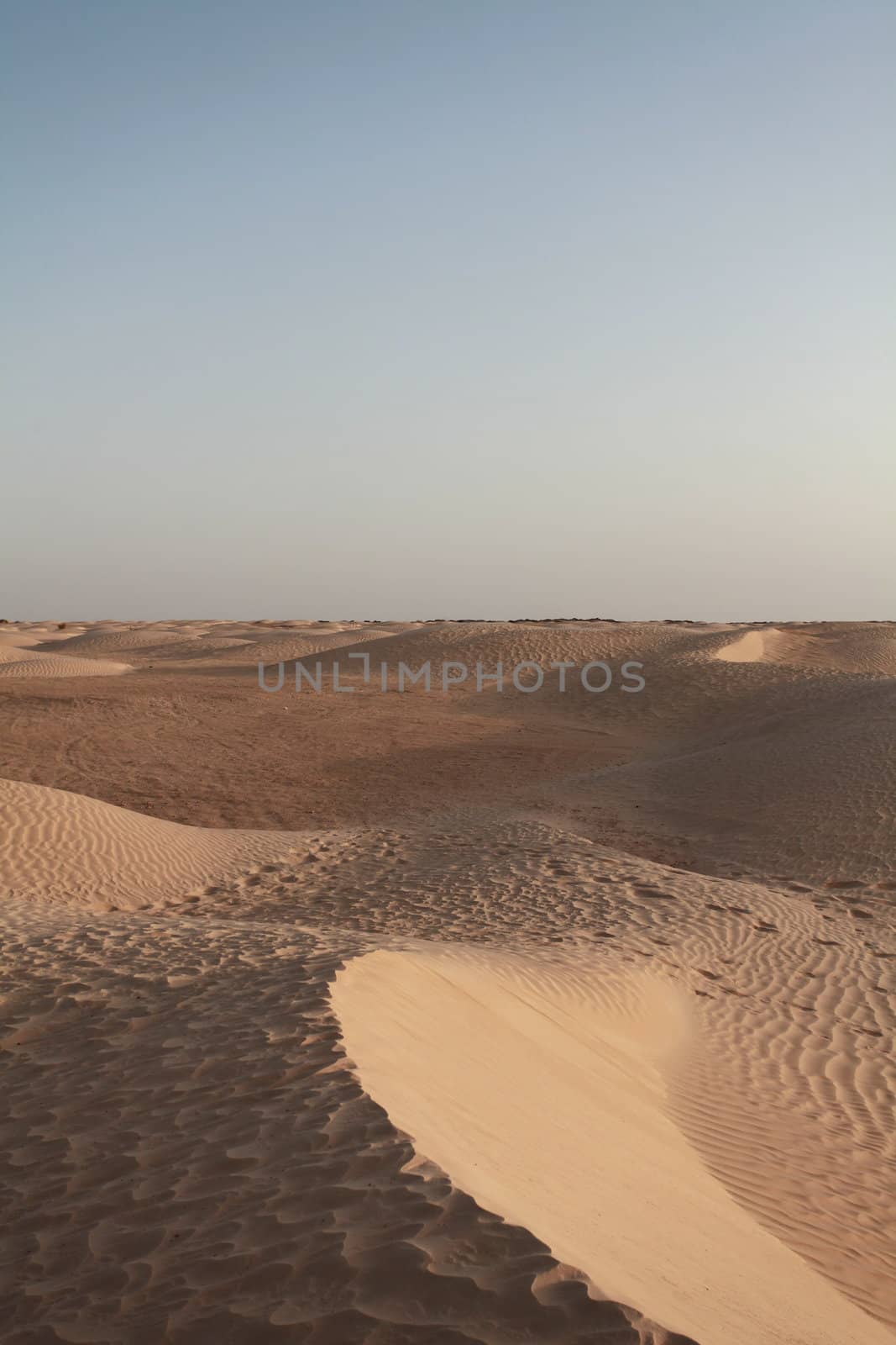 view of the Sahara desert before sunset