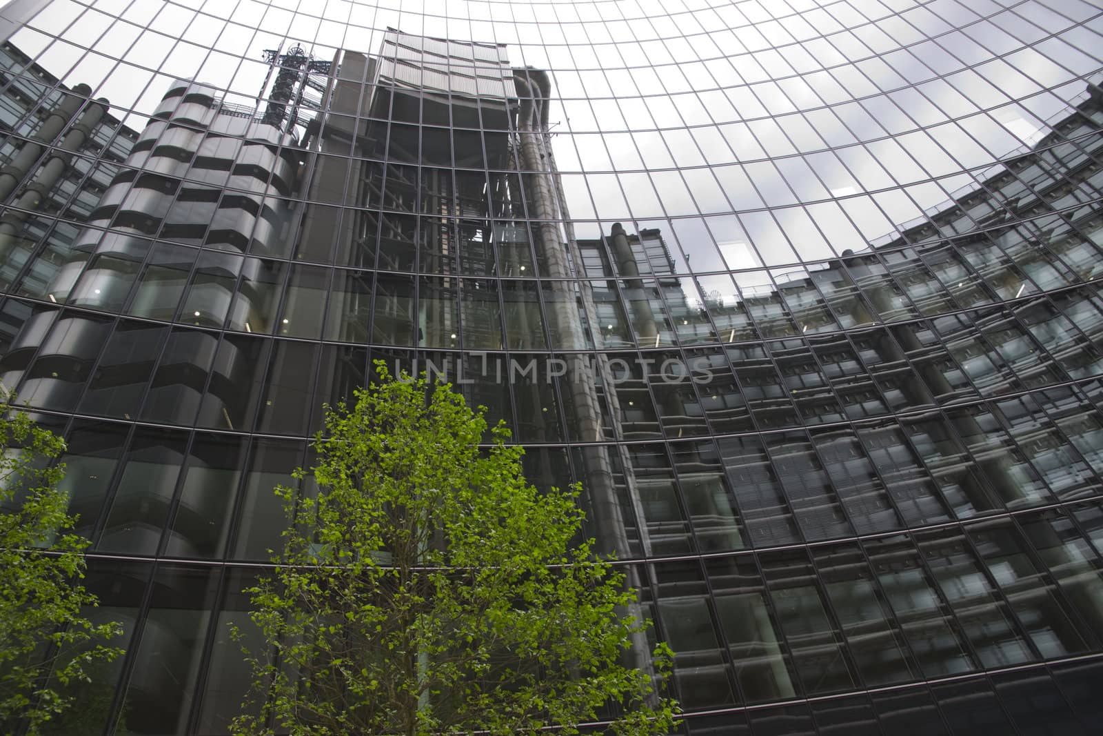 Green tree in front of a glass fronted office building in the City of London, England, United Kingdom
