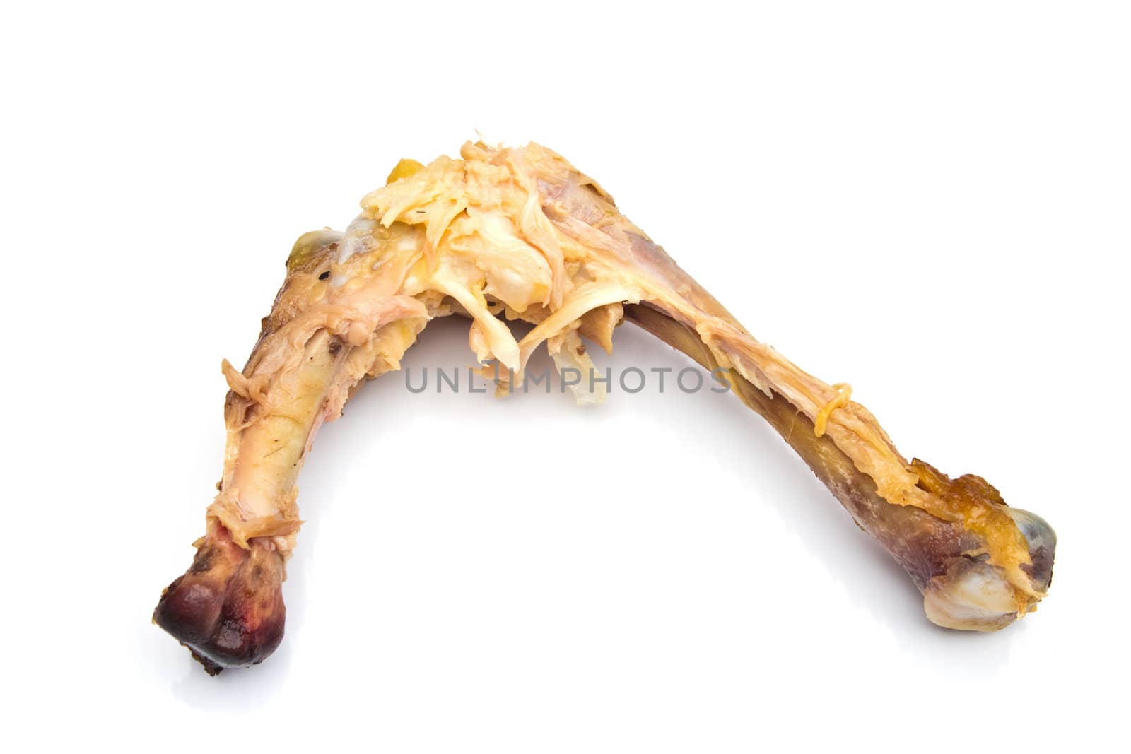 bone of the chicken on white background
