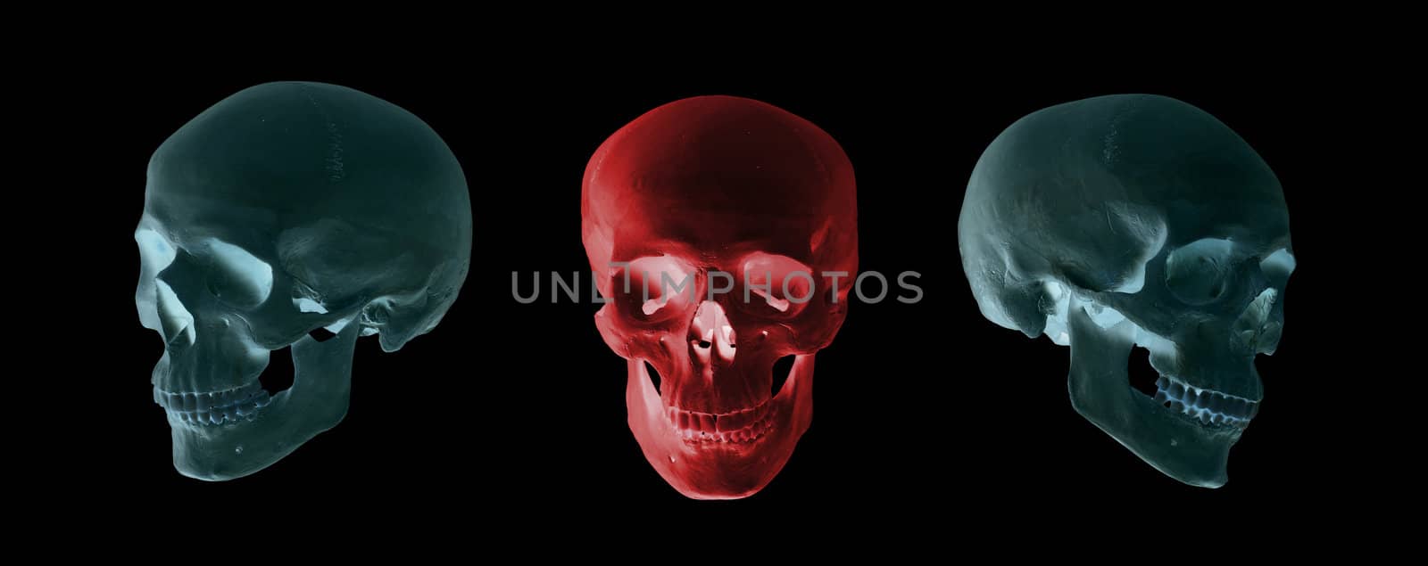 blue and red skulls