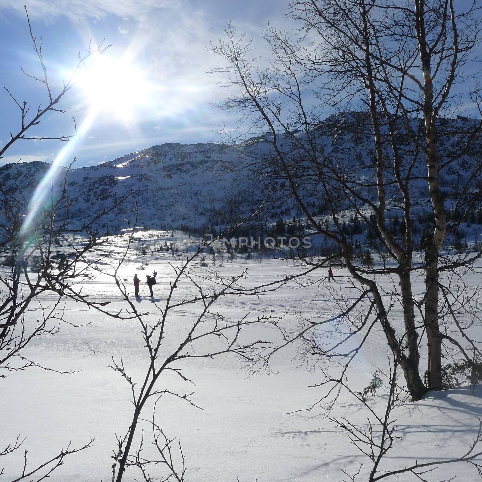 Sunny skiing day