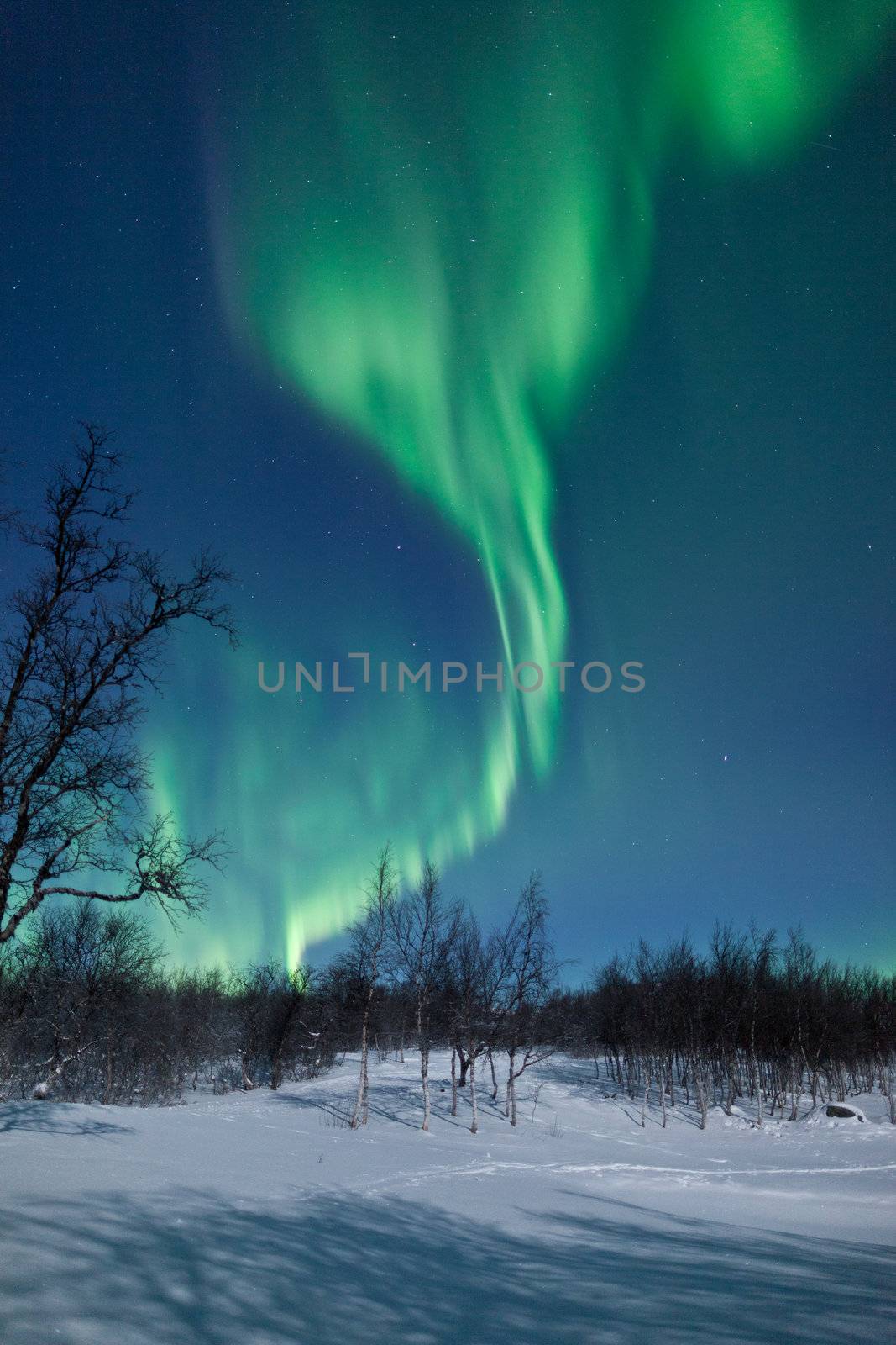 Northern Lights (Aurora Borealis) by jamenpercy