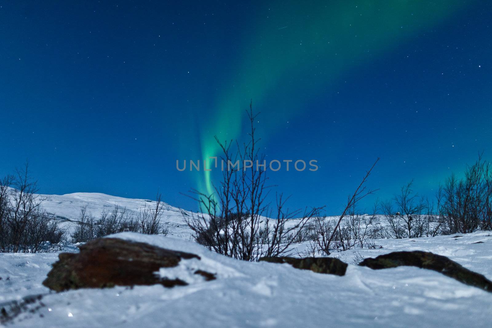 Northern Lights (Aurora Borealis) by jamenpercy