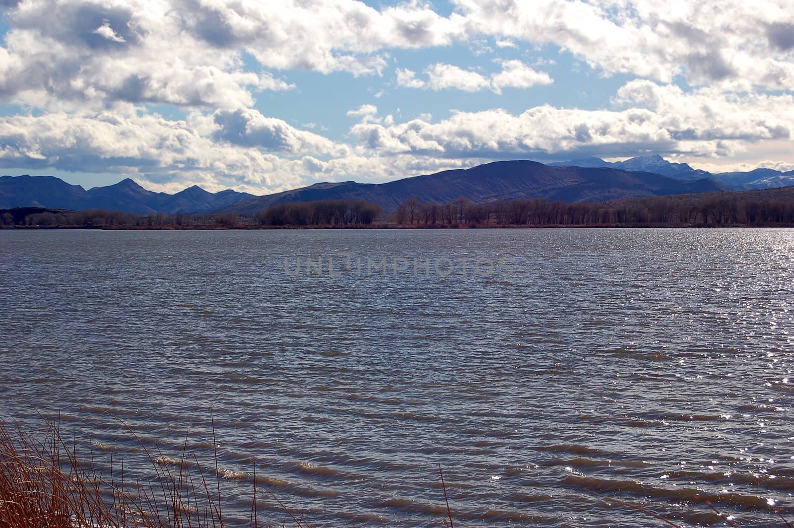 Lake Alamo Nevada with mountains in background