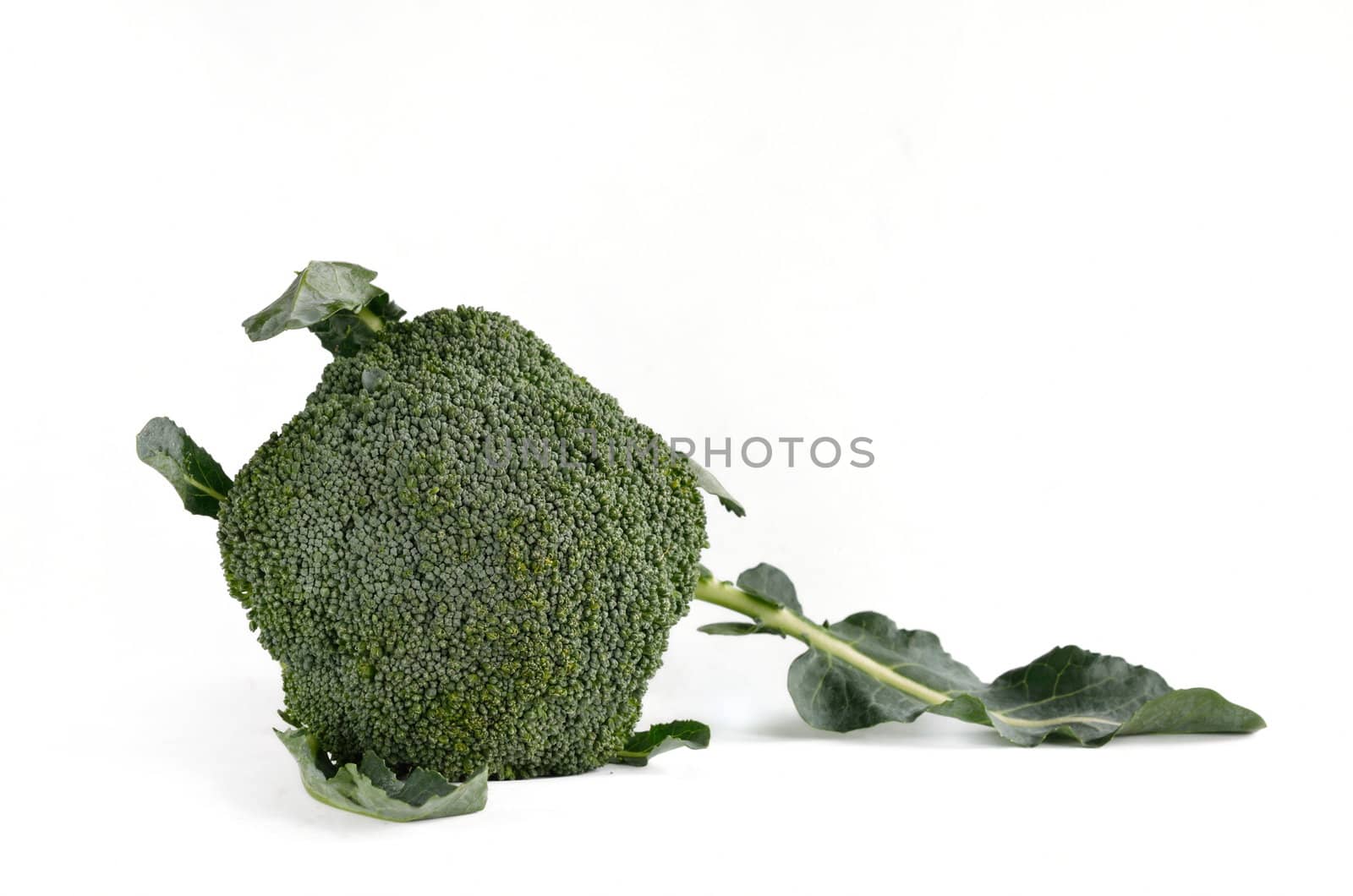 Broccoli vegetable isolated on white