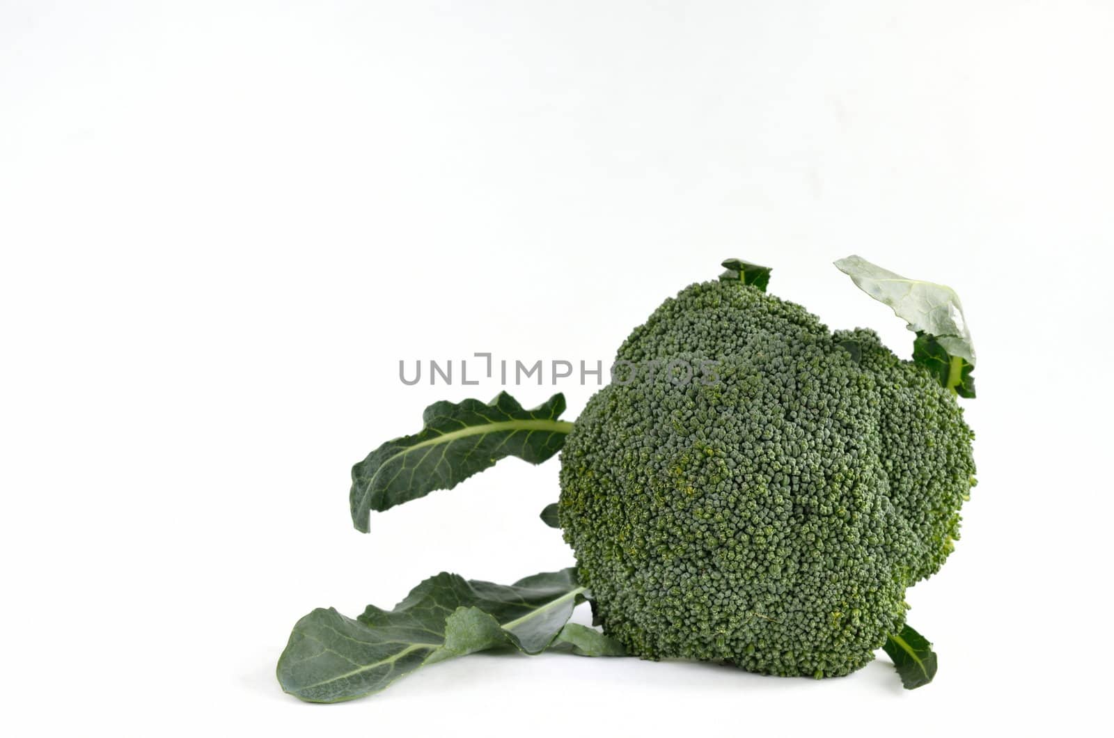 Broccoli vegetable isolated on white