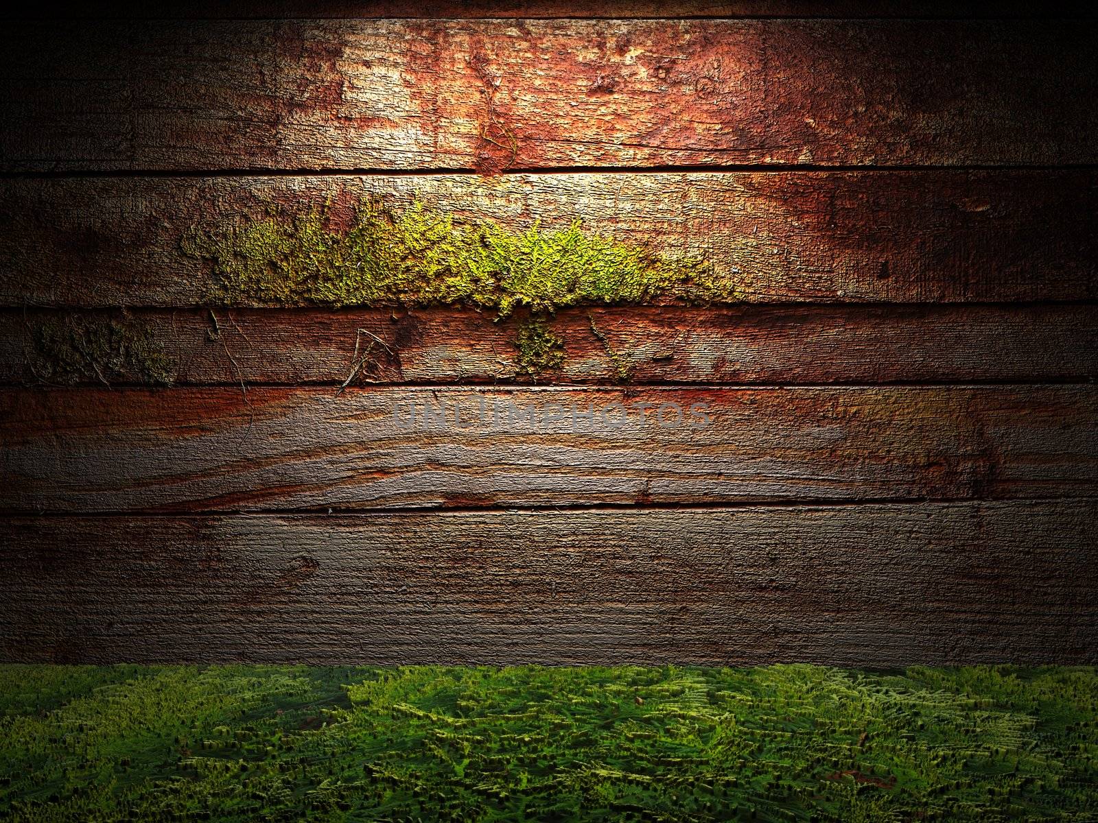 Old wooden wall