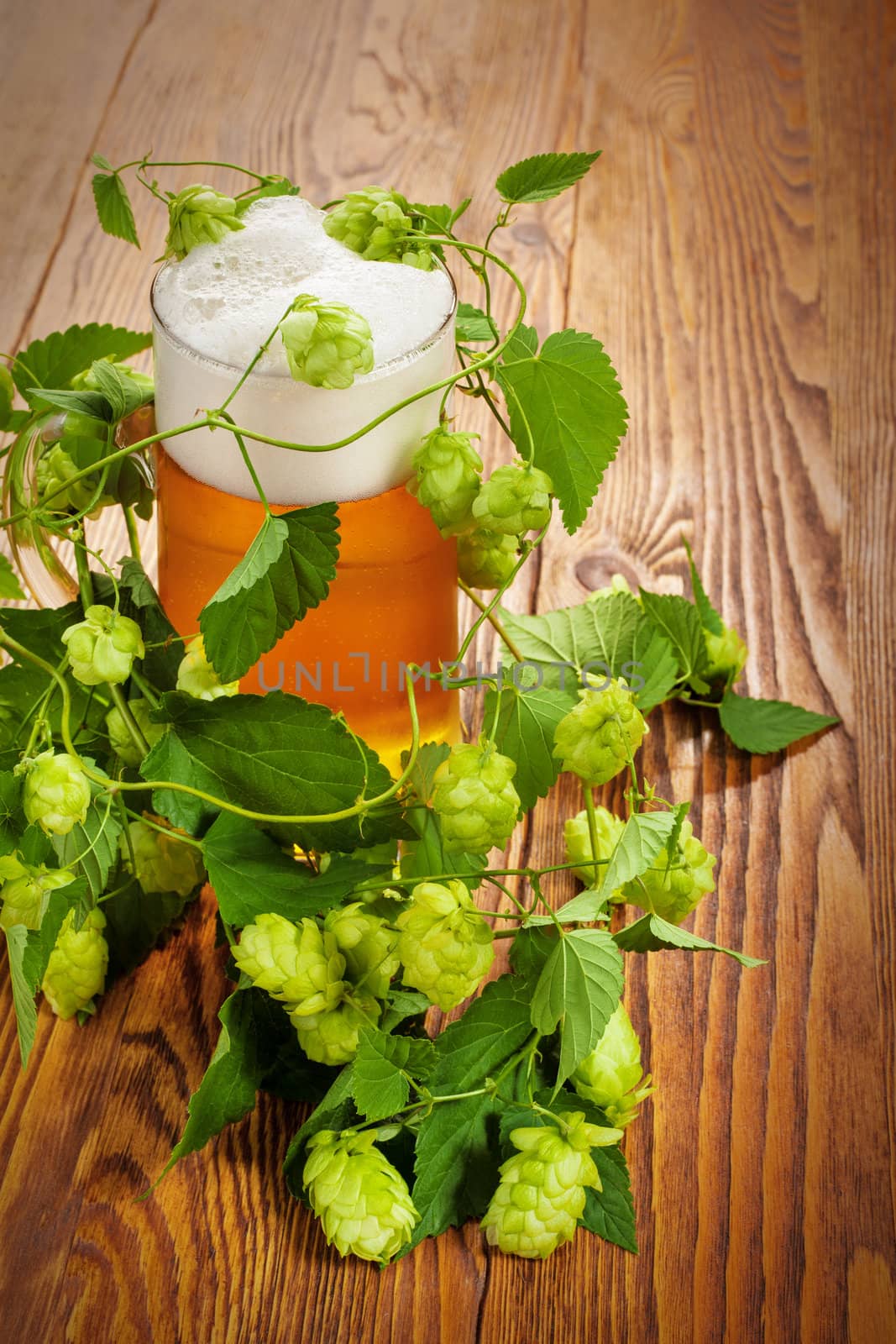 Pint and hop plant by igor_stramyk