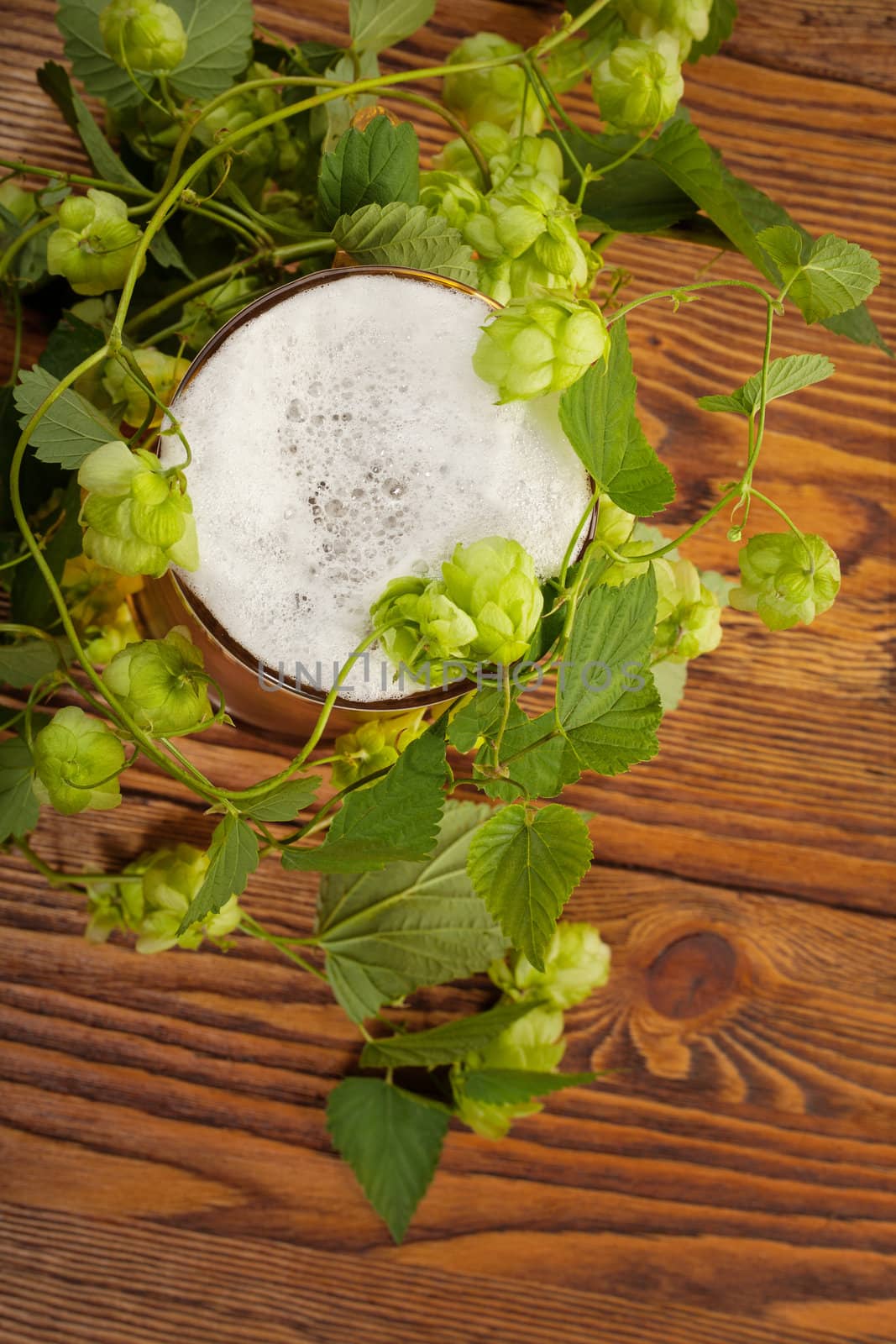 Pint and hop plant by igor_stramyk