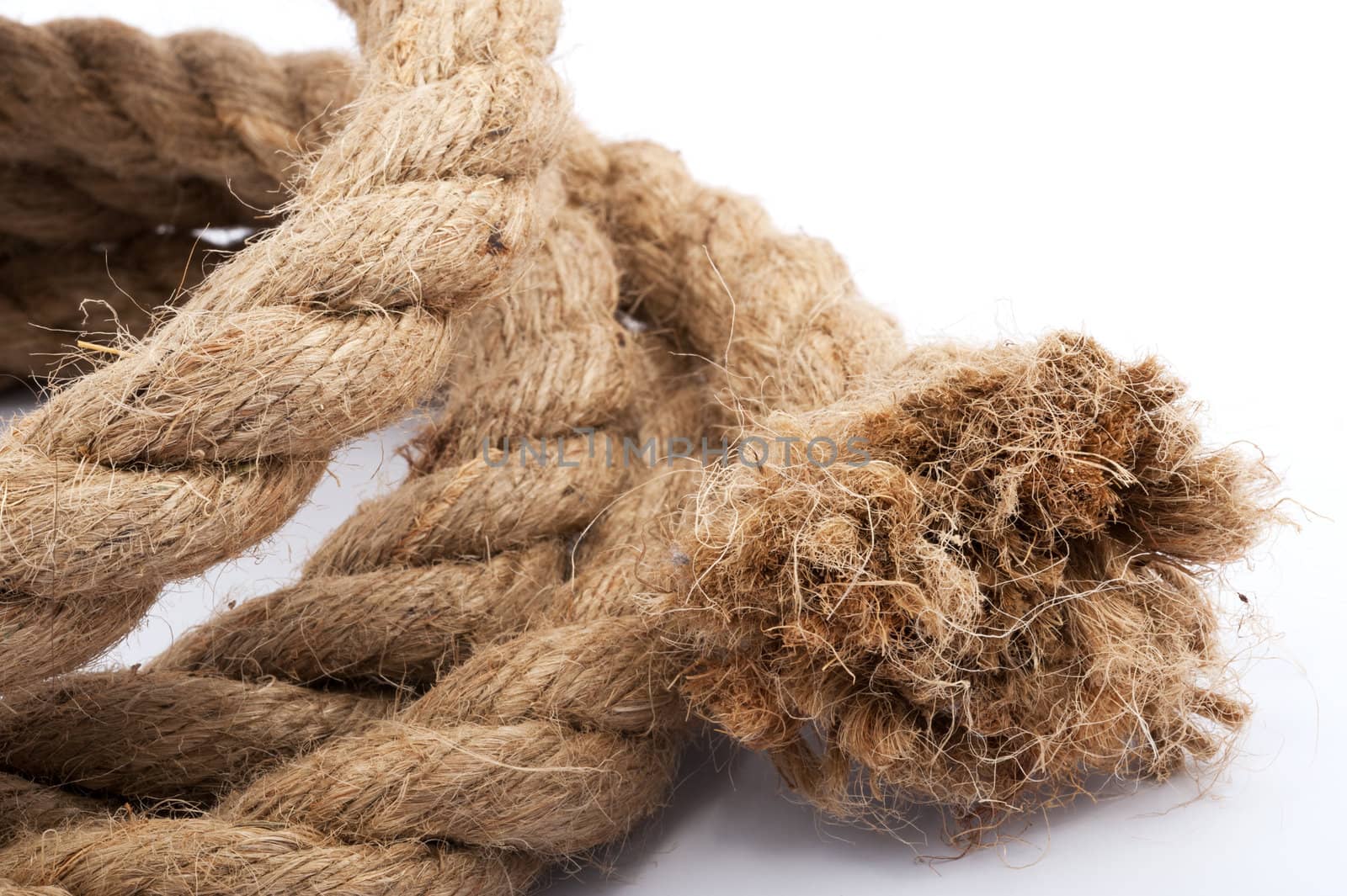 rope curve putting on white background